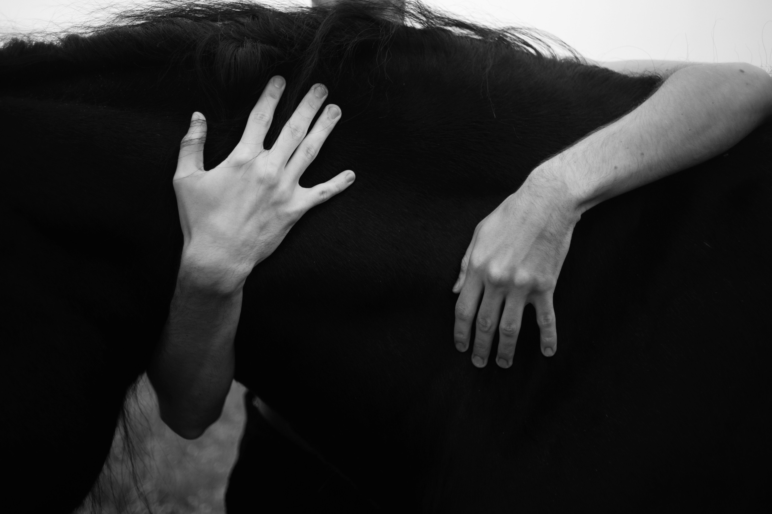 Воля. Ваш семейный фотограф