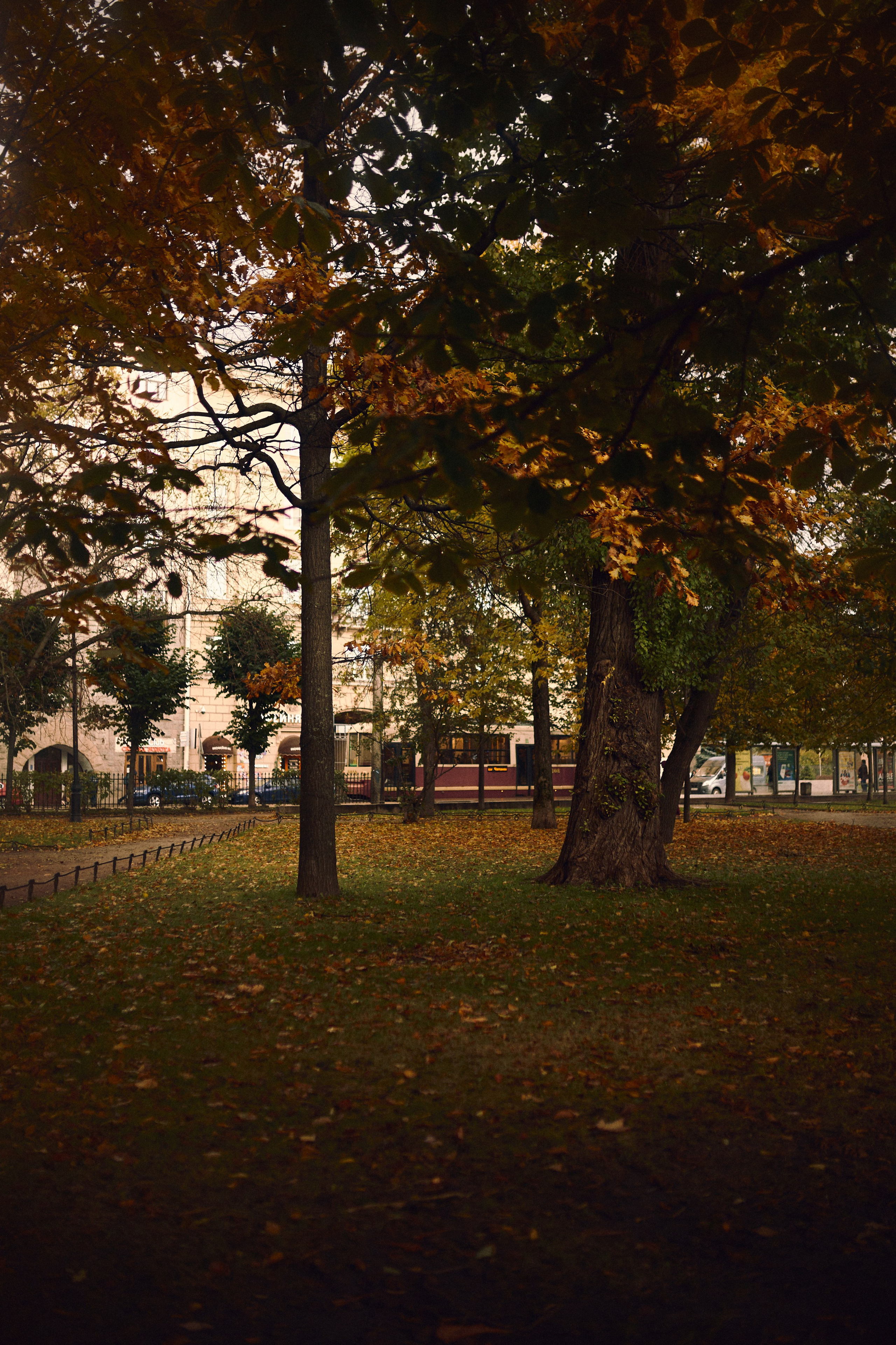 Семейный Петербург. Фотограф Ионова Анастасия, г Владивосток