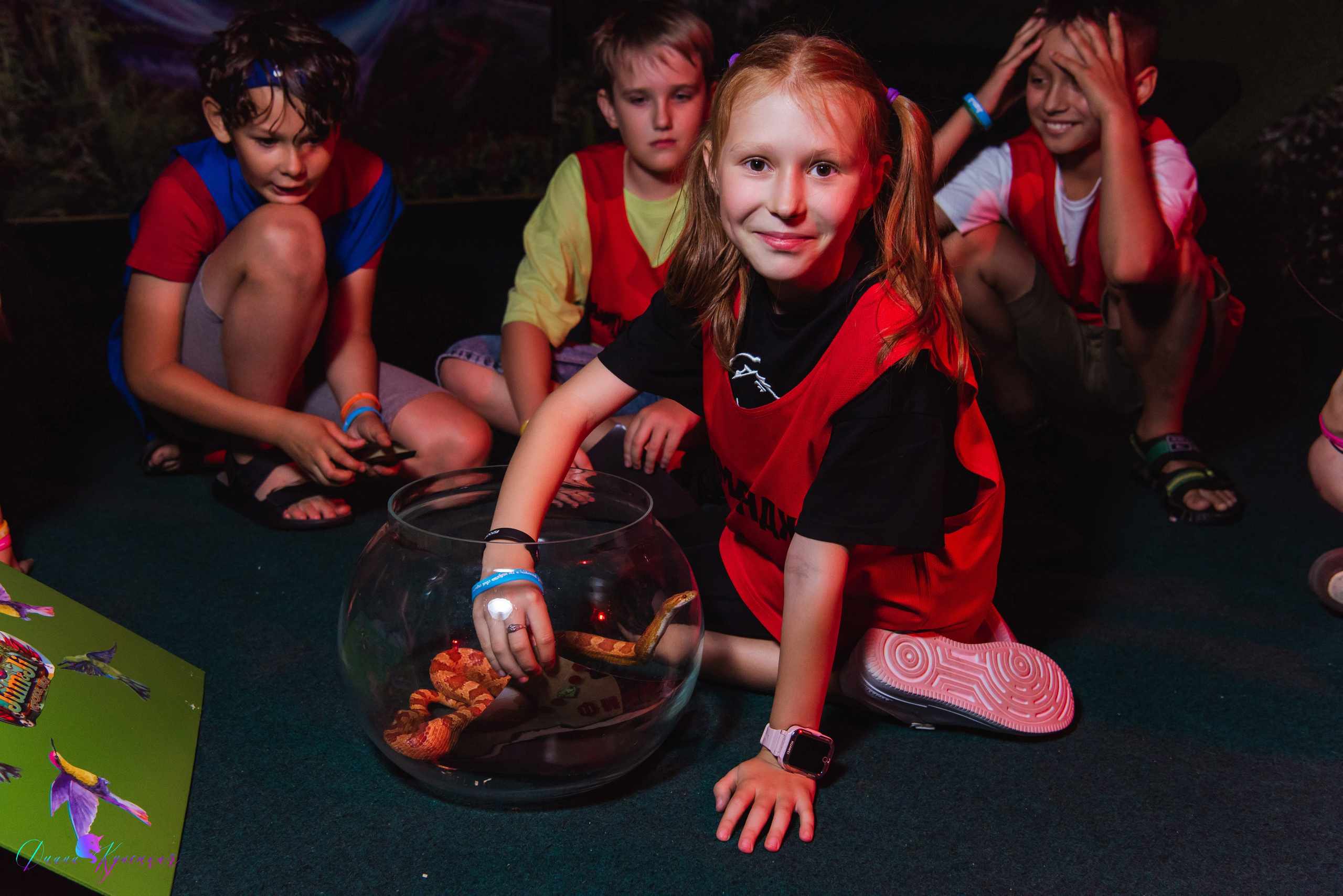 День Рождения Арсения. «Джуманджи Красногорск». Свадебный и арт-фотограф Кунецкая Диана