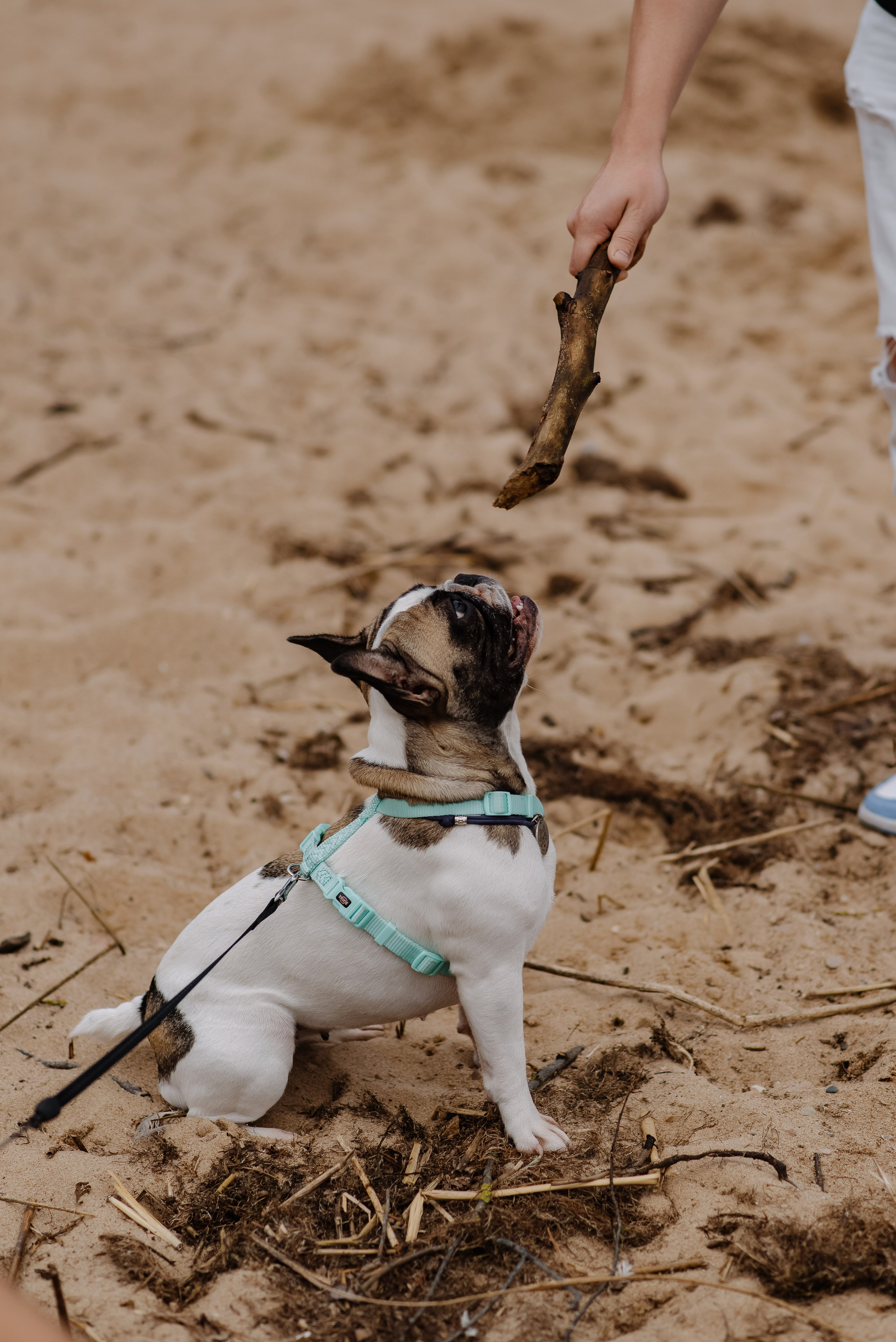 С любимым другом. Фотограф Минск Катерина Кирик