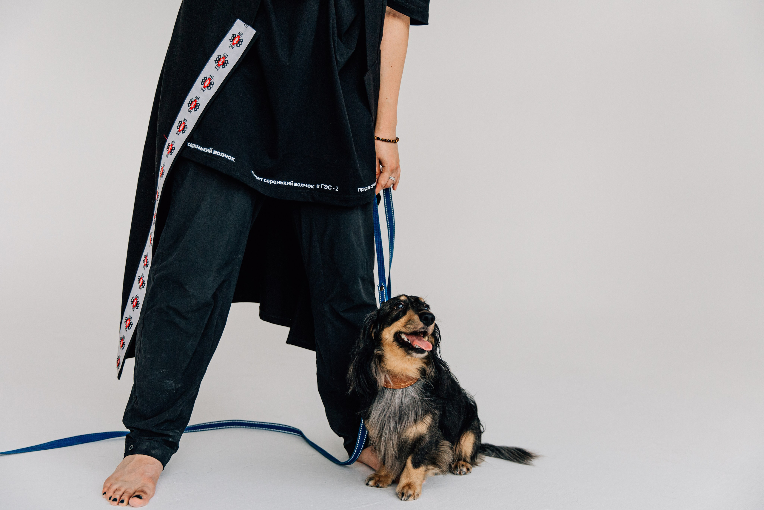 Лаборатория Канистерапии. Фотограф-анималист в Москве Соломонова Варвара