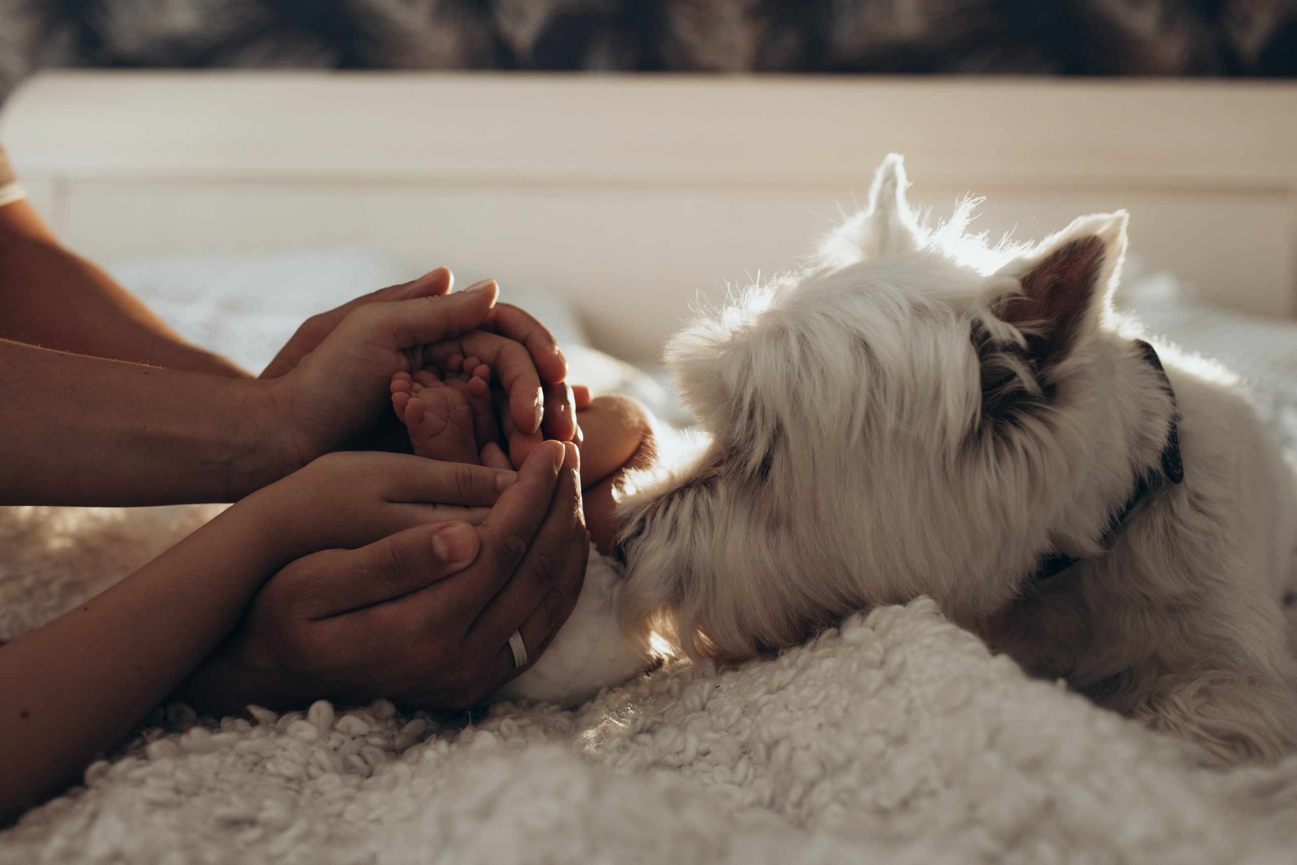 LifeStyle. Фотостудия для новорожденных и малышей в Твери — На ручки