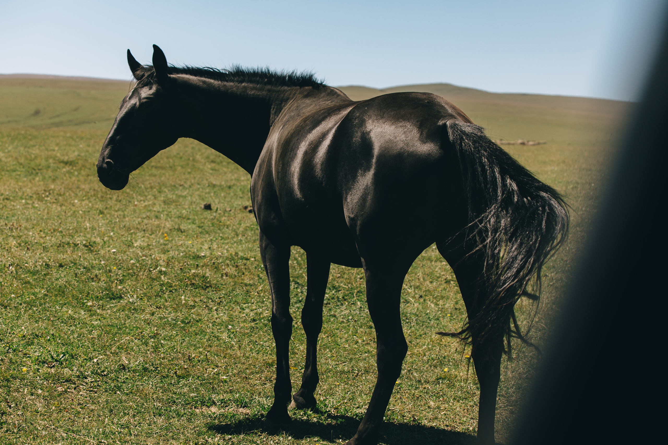 Бермамыт. Самый свадебный фотограф