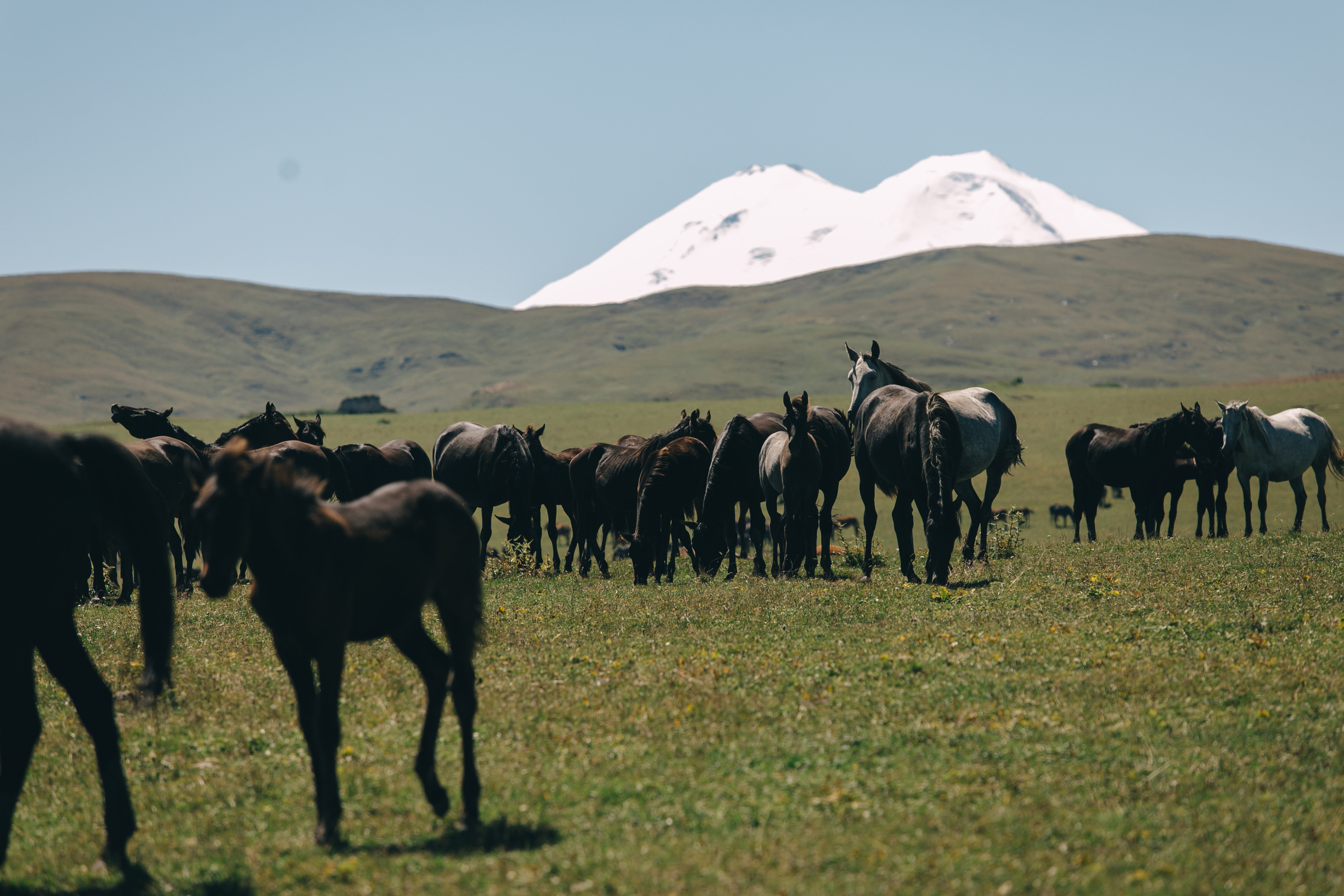 Бермамыт. Самый свадебный фотограф