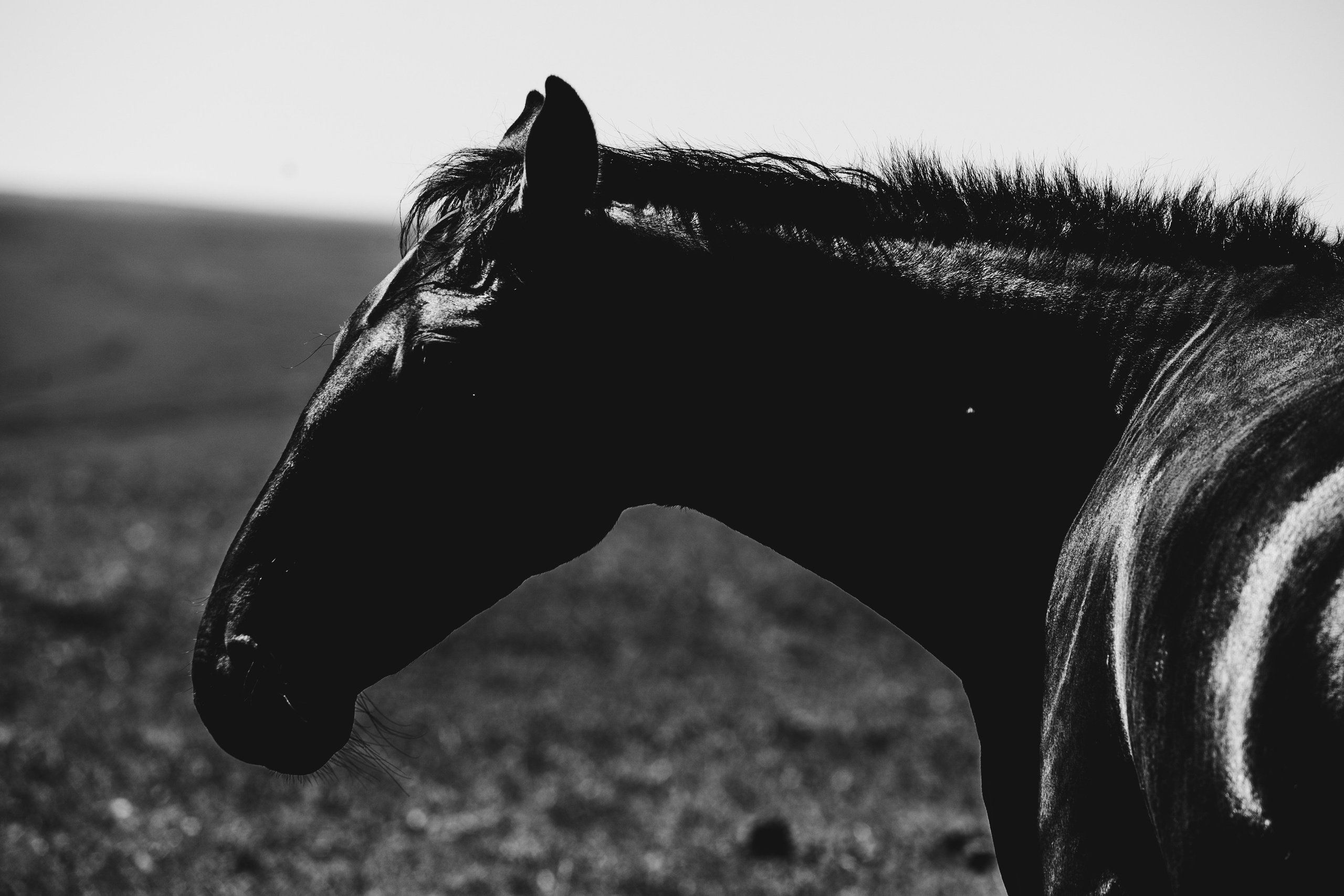 Бермамыт. Самый свадебный фотограф