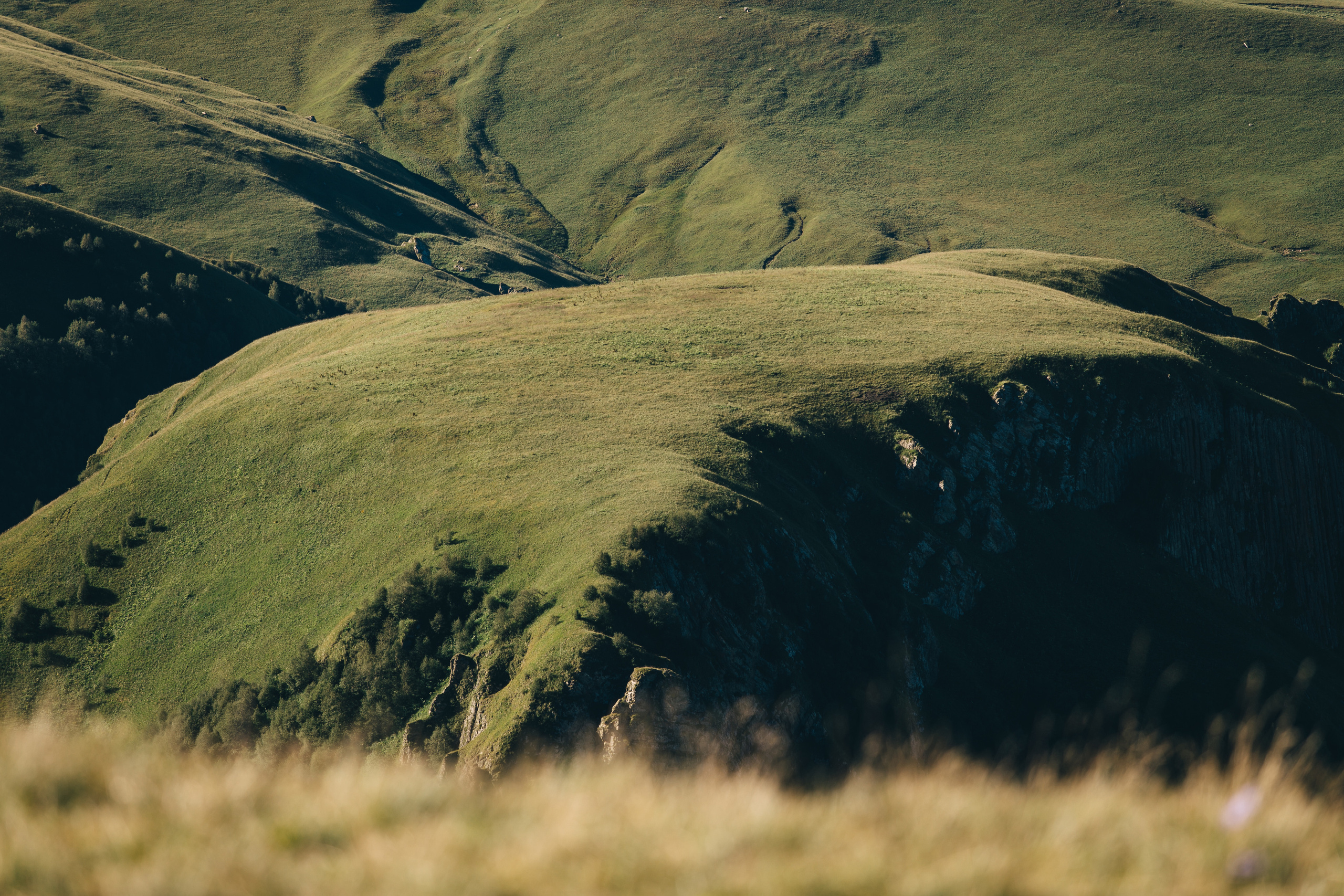 Бермамыт. Самый свадебный фотограф