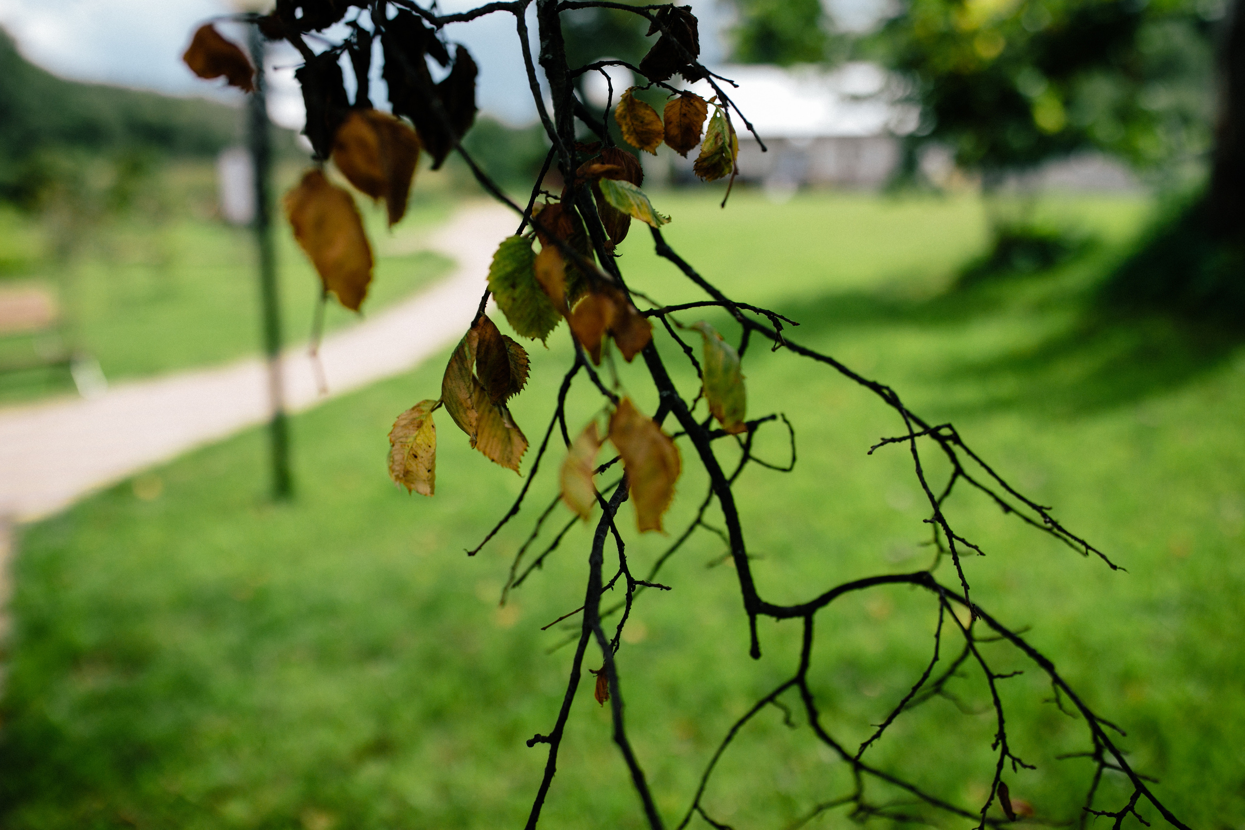 Вишневый Сад. Самый свадебный фотограф