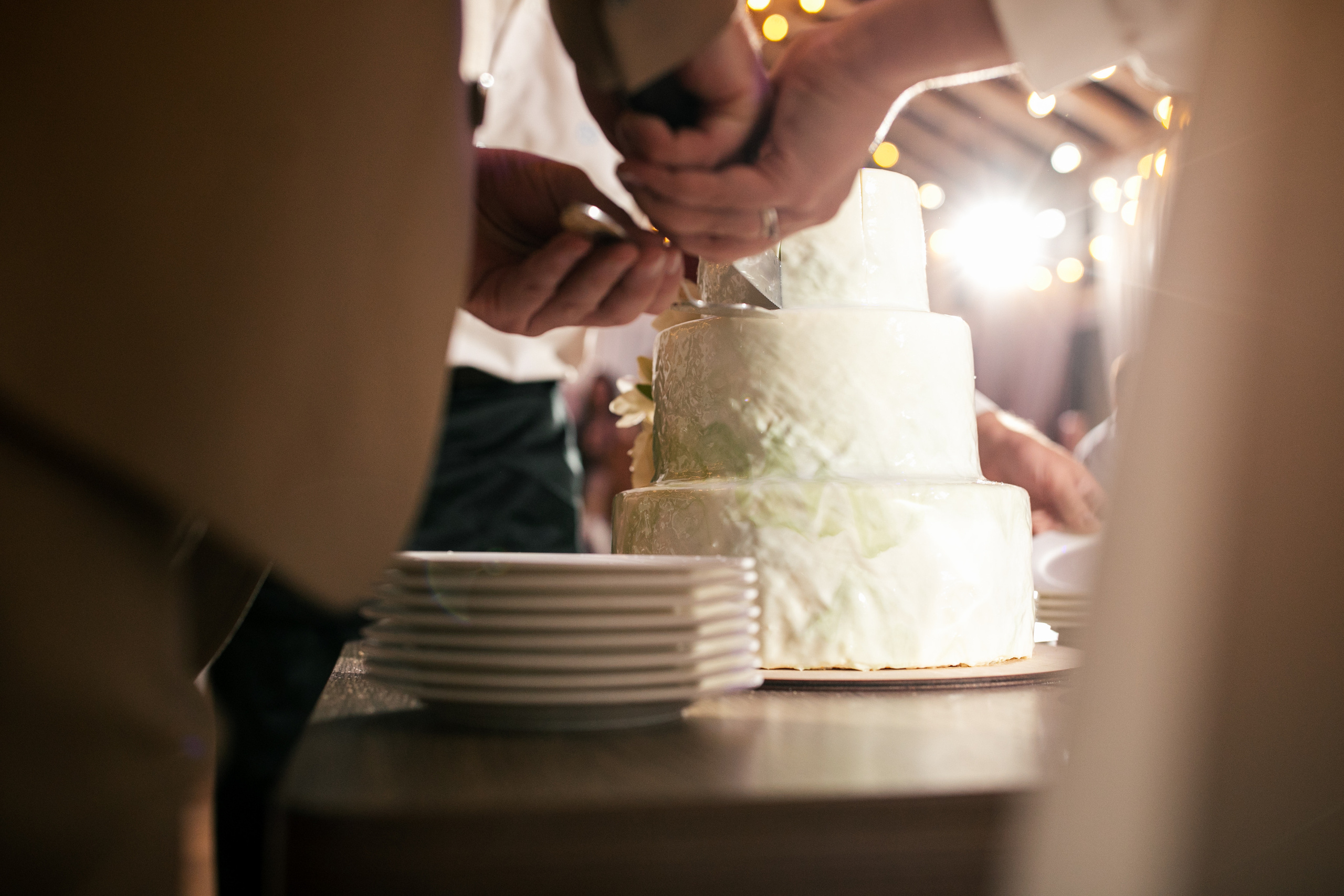 Вишневый Сад. Самый свадебный фотограф