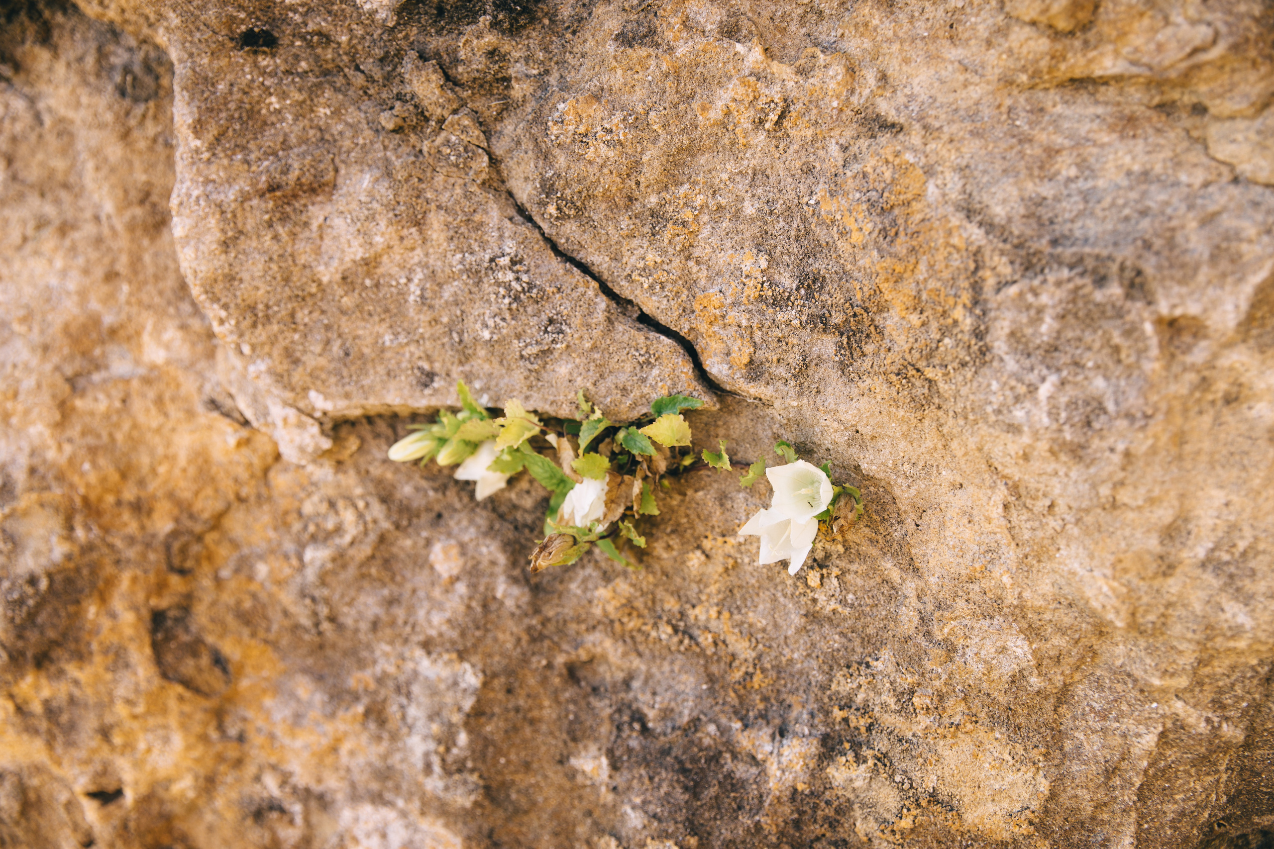 Бермамыт. Самый свадебный фотограф
