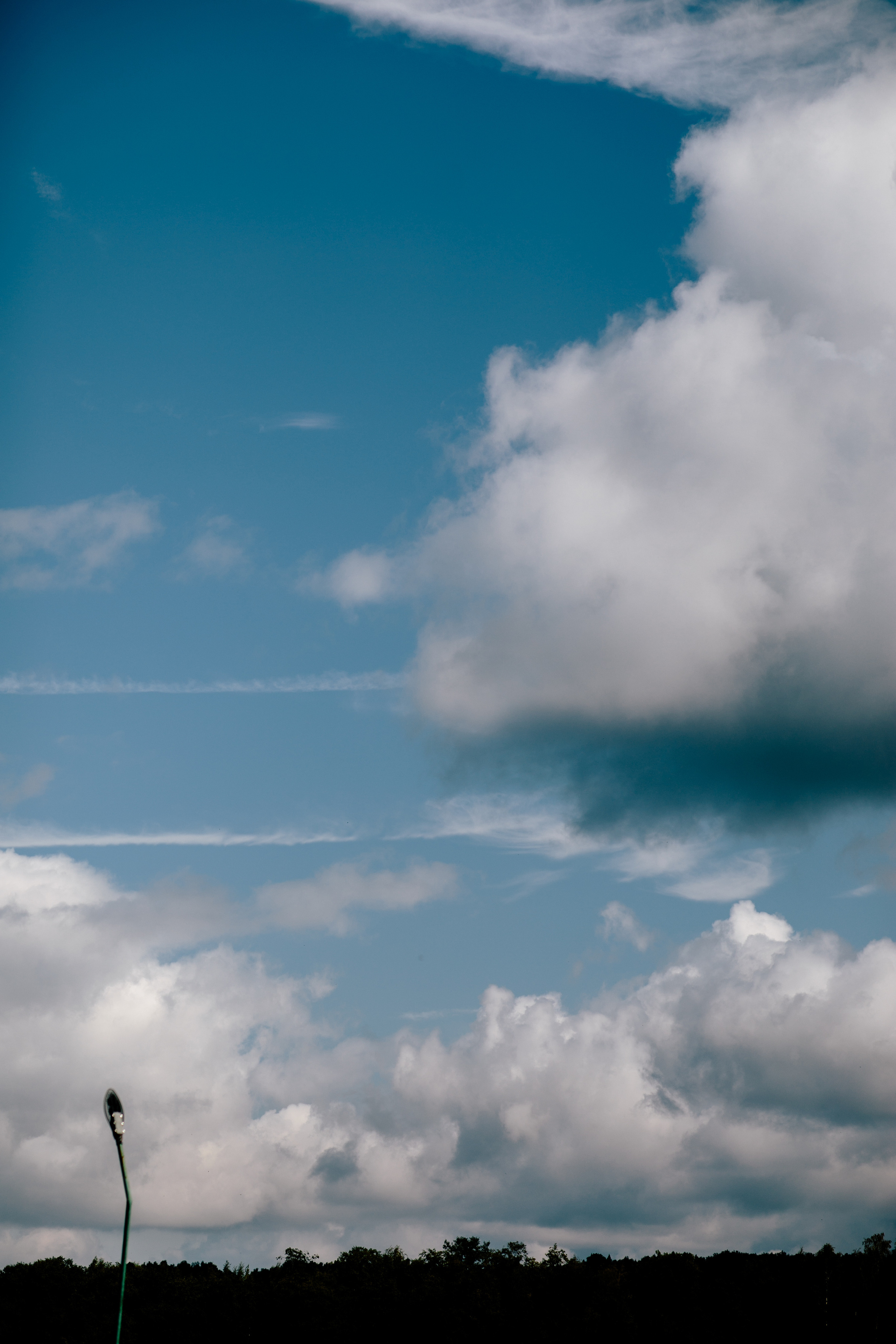 Вишневый Сад. Самый свадебный фотограф