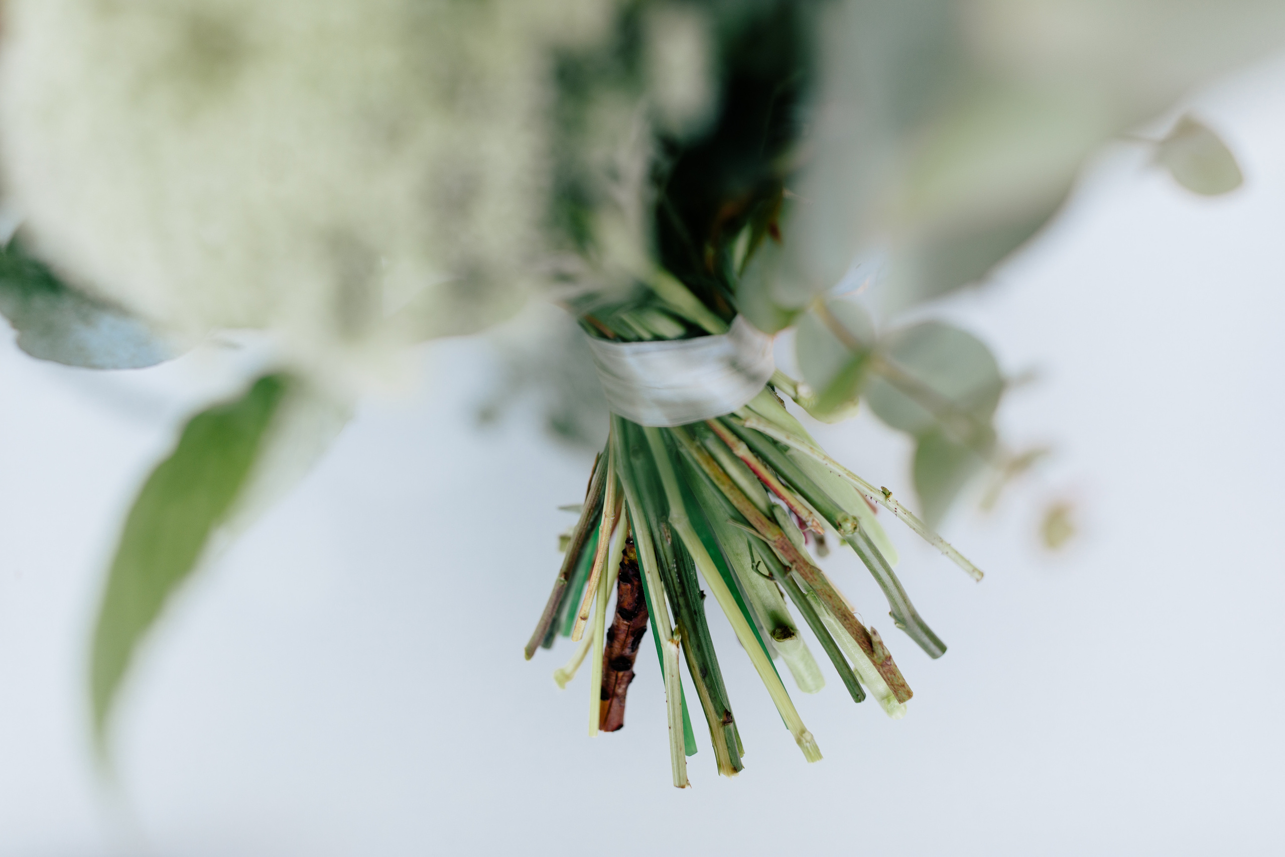 Вишневый Сад. Самый свадебный фотограф