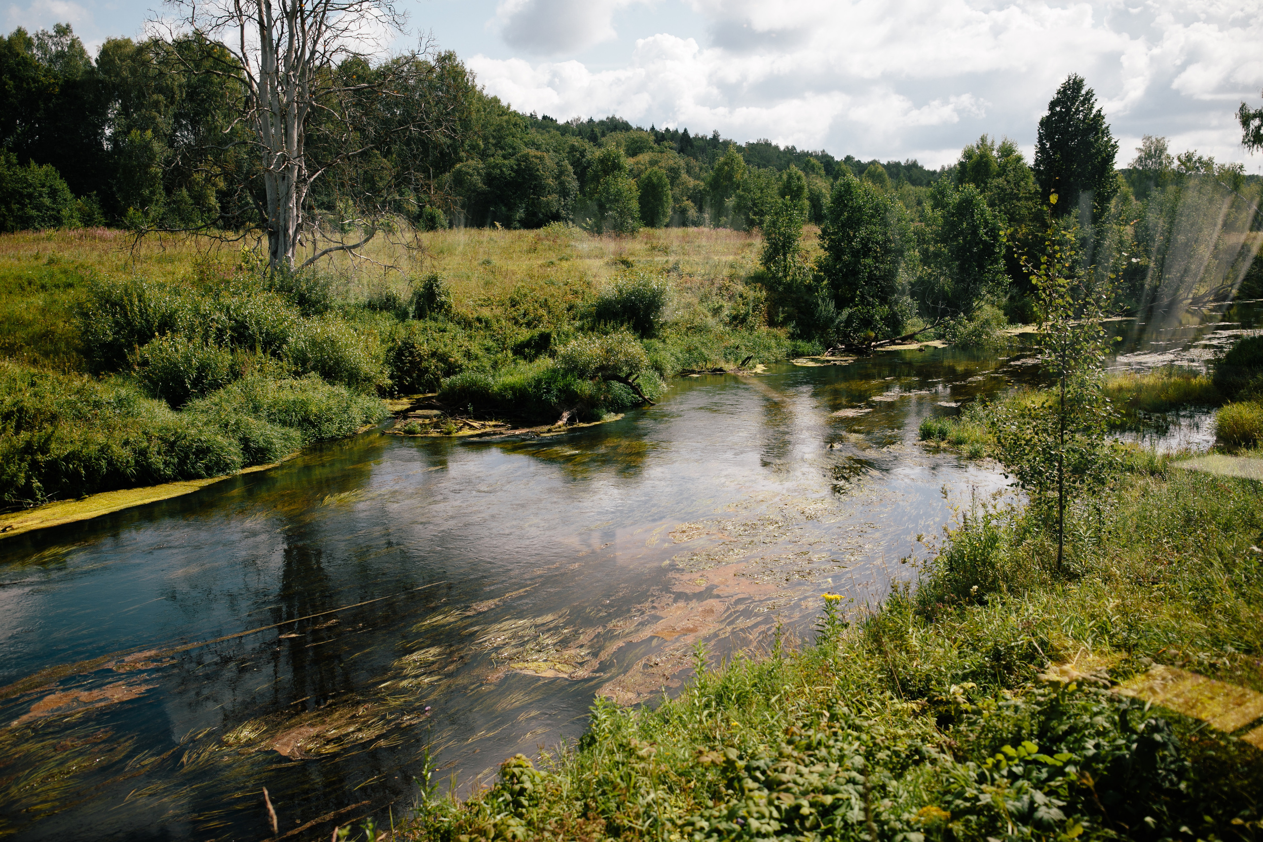 Вишневый Сад. Самый свадебный фотограф