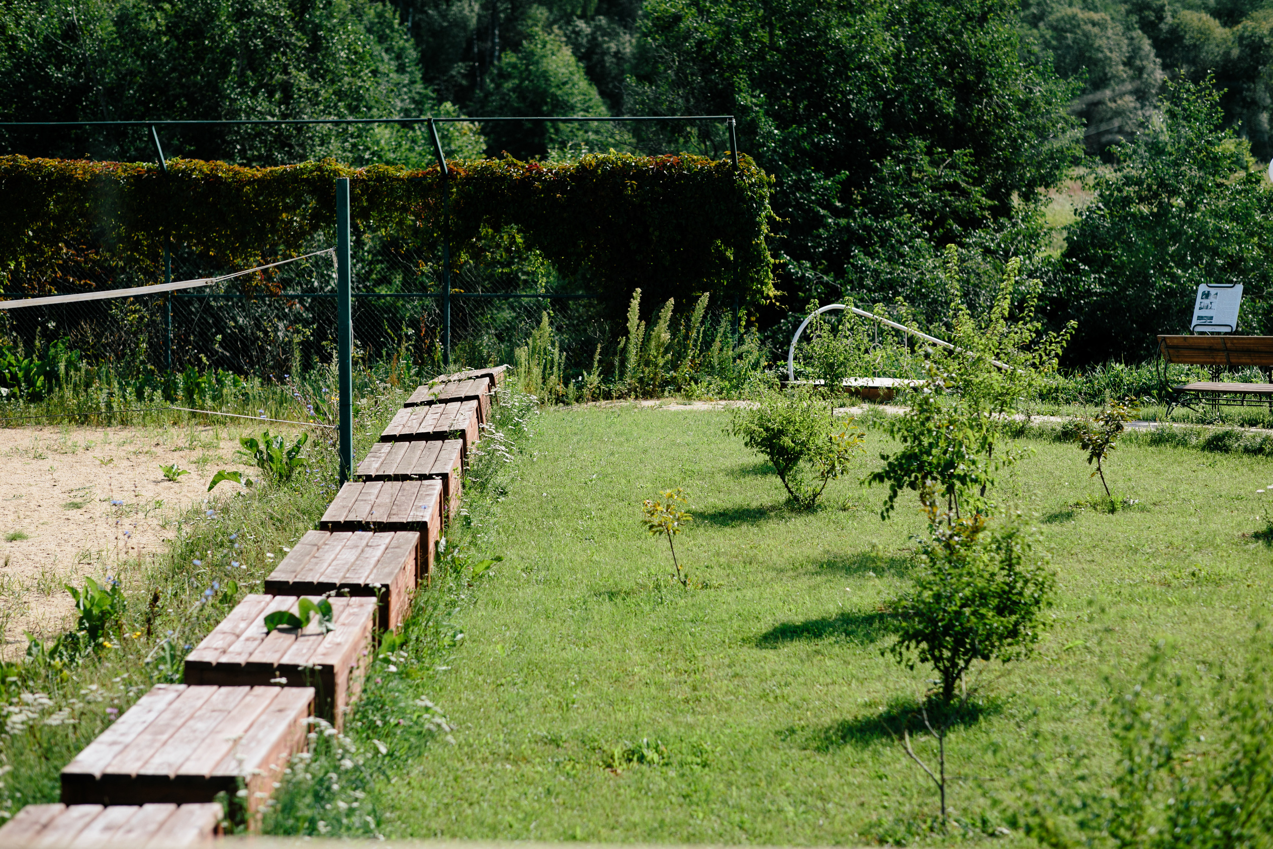Вишневый Сад. Самый свадебный фотограф
