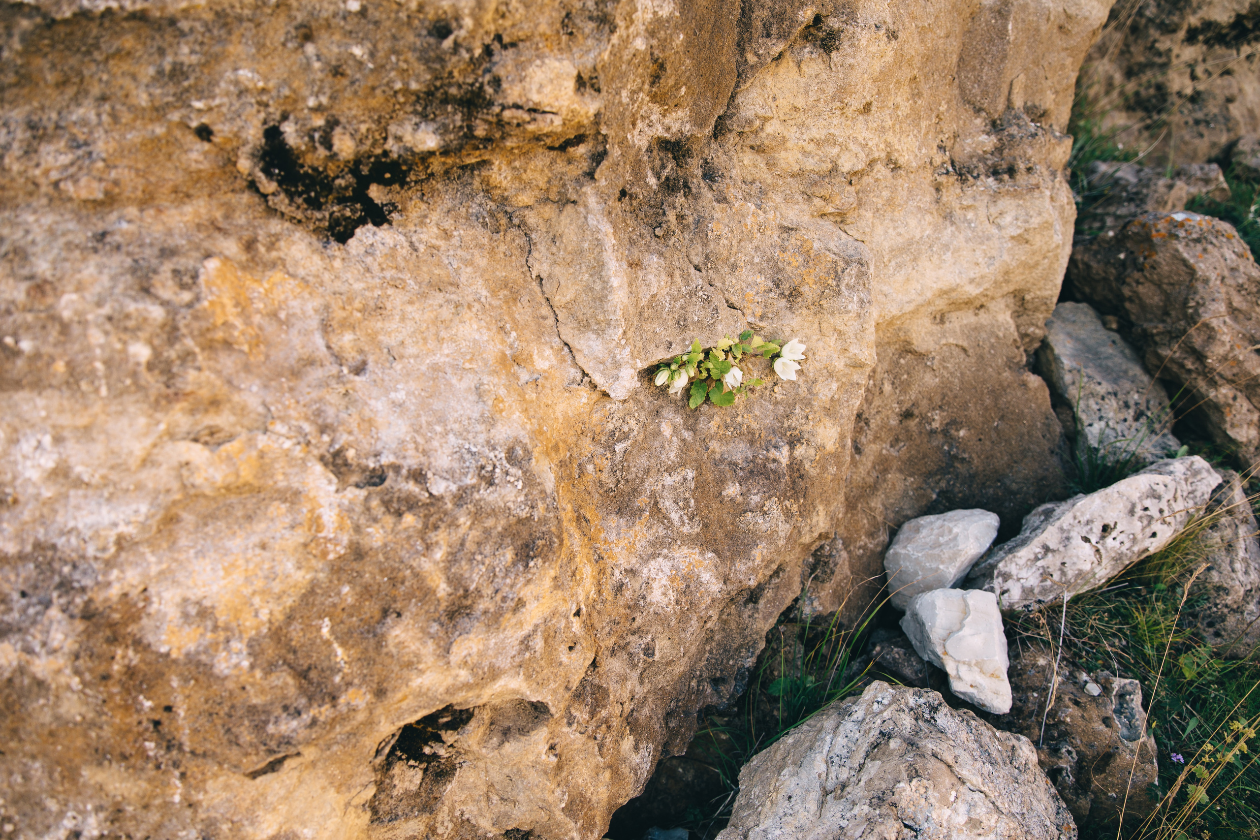 Бермамыт. Самый свадебный фотограф
