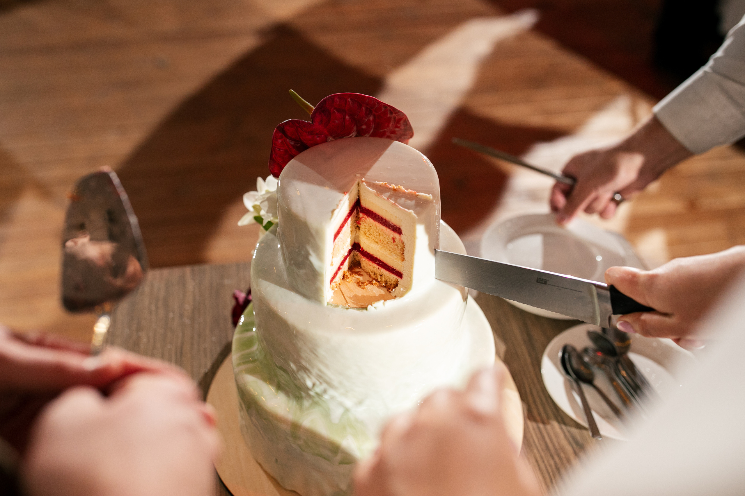 Вишневый Сад. Самый свадебный фотограф