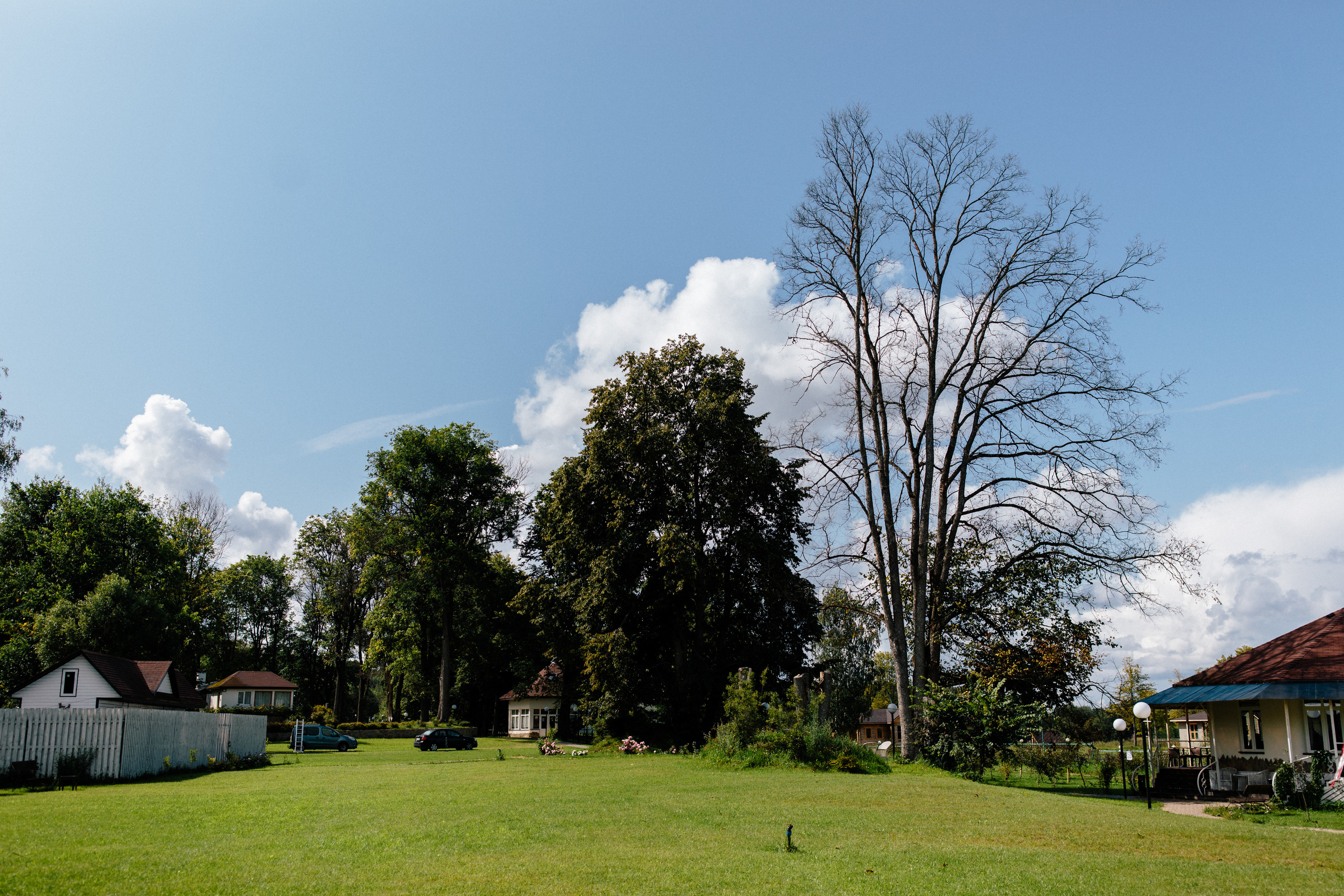 Вишневый Сад. Самый свадебный фотограф
