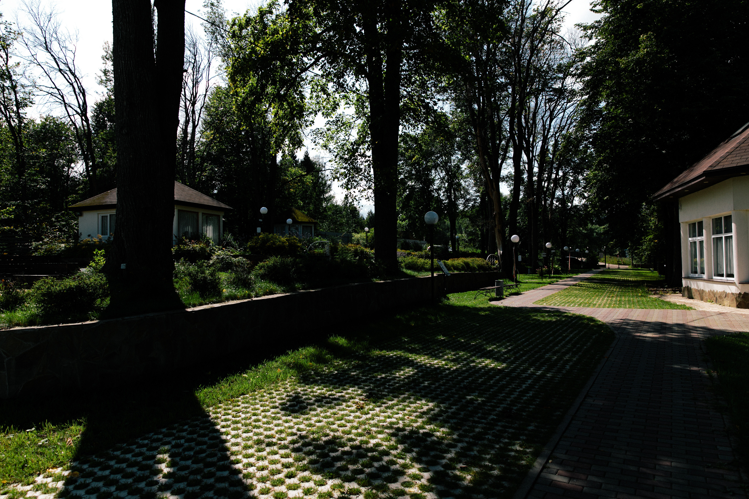 Вишневый Сад. Самый свадебный фотограф