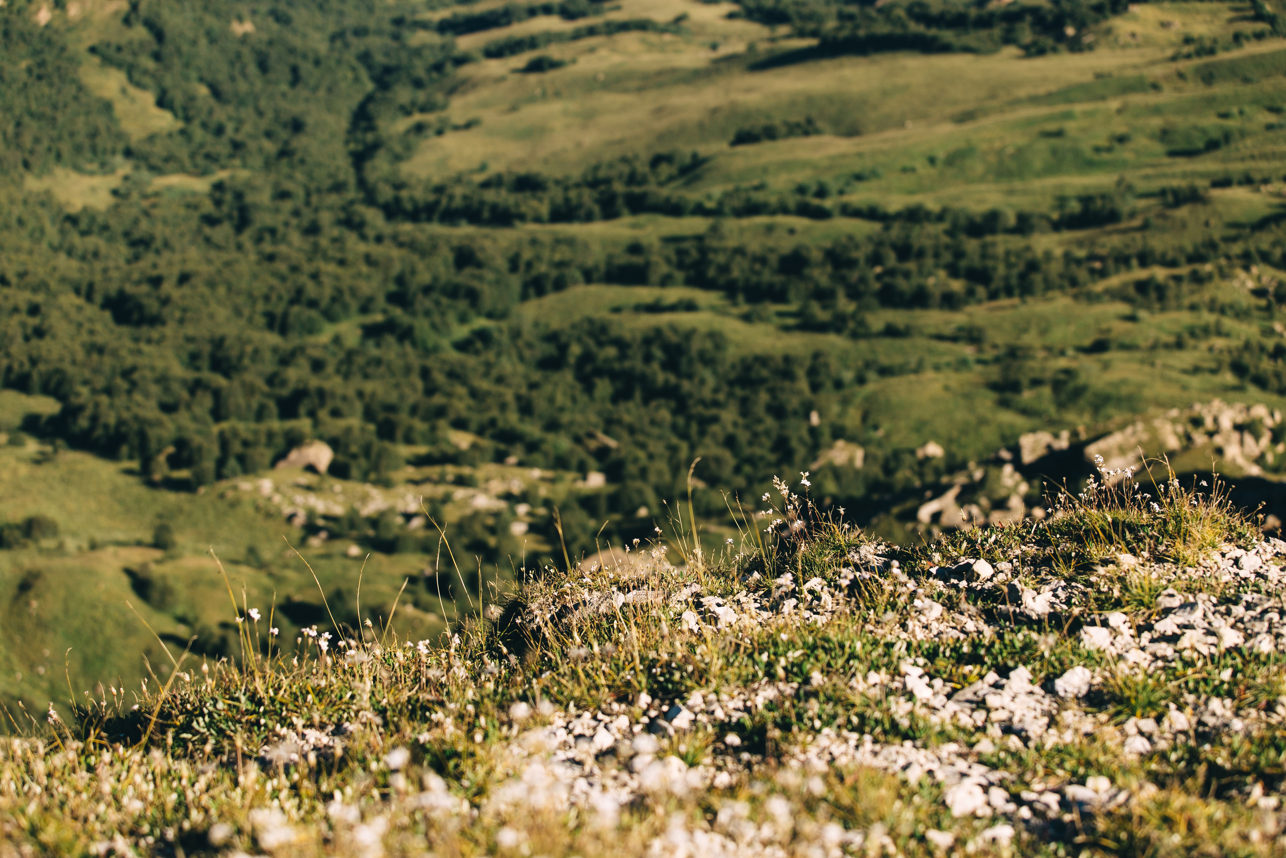 Бермамыт. Самый свадебный фотограф