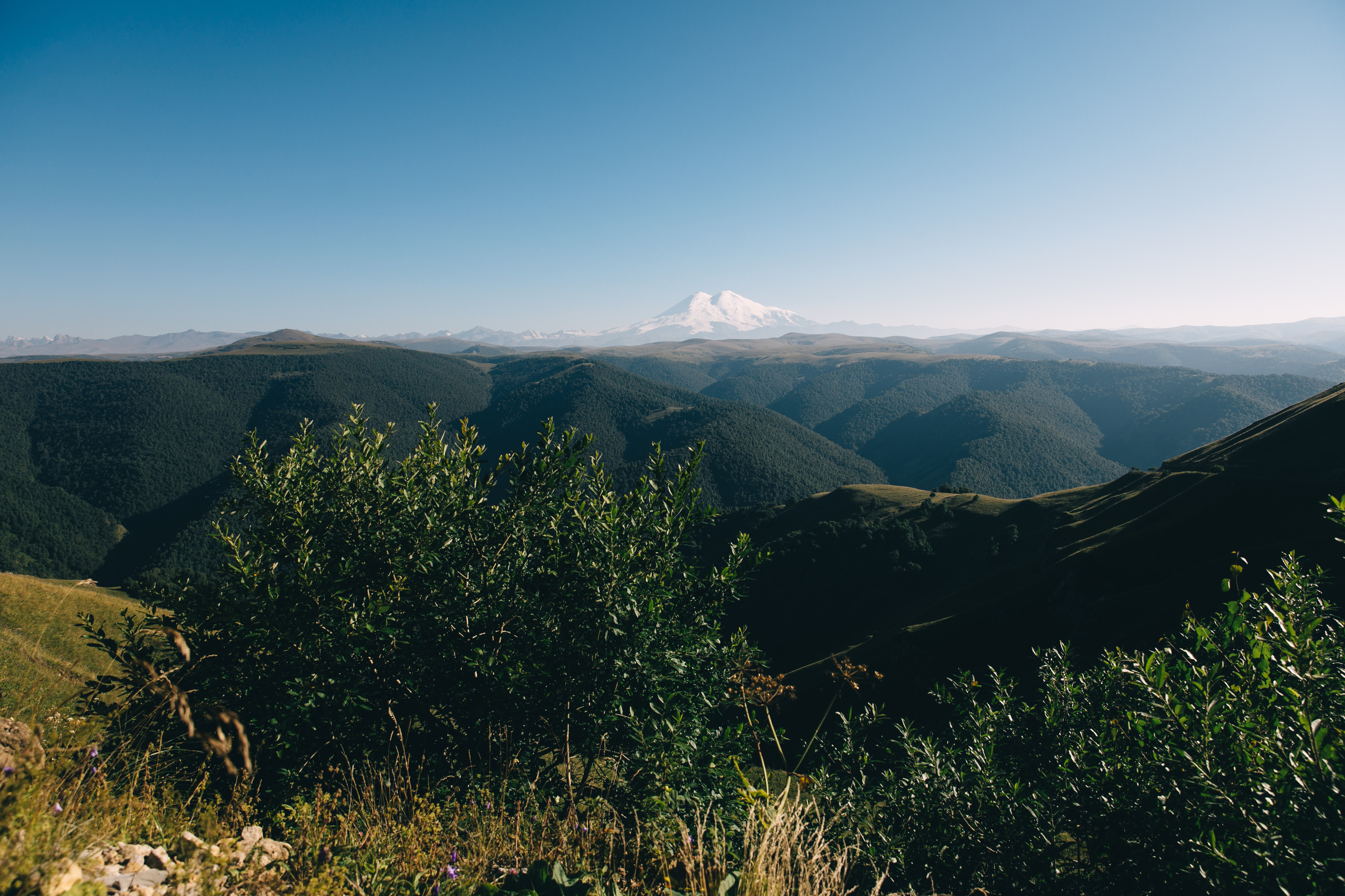 Бермамыт. Самый свадебный фотограф