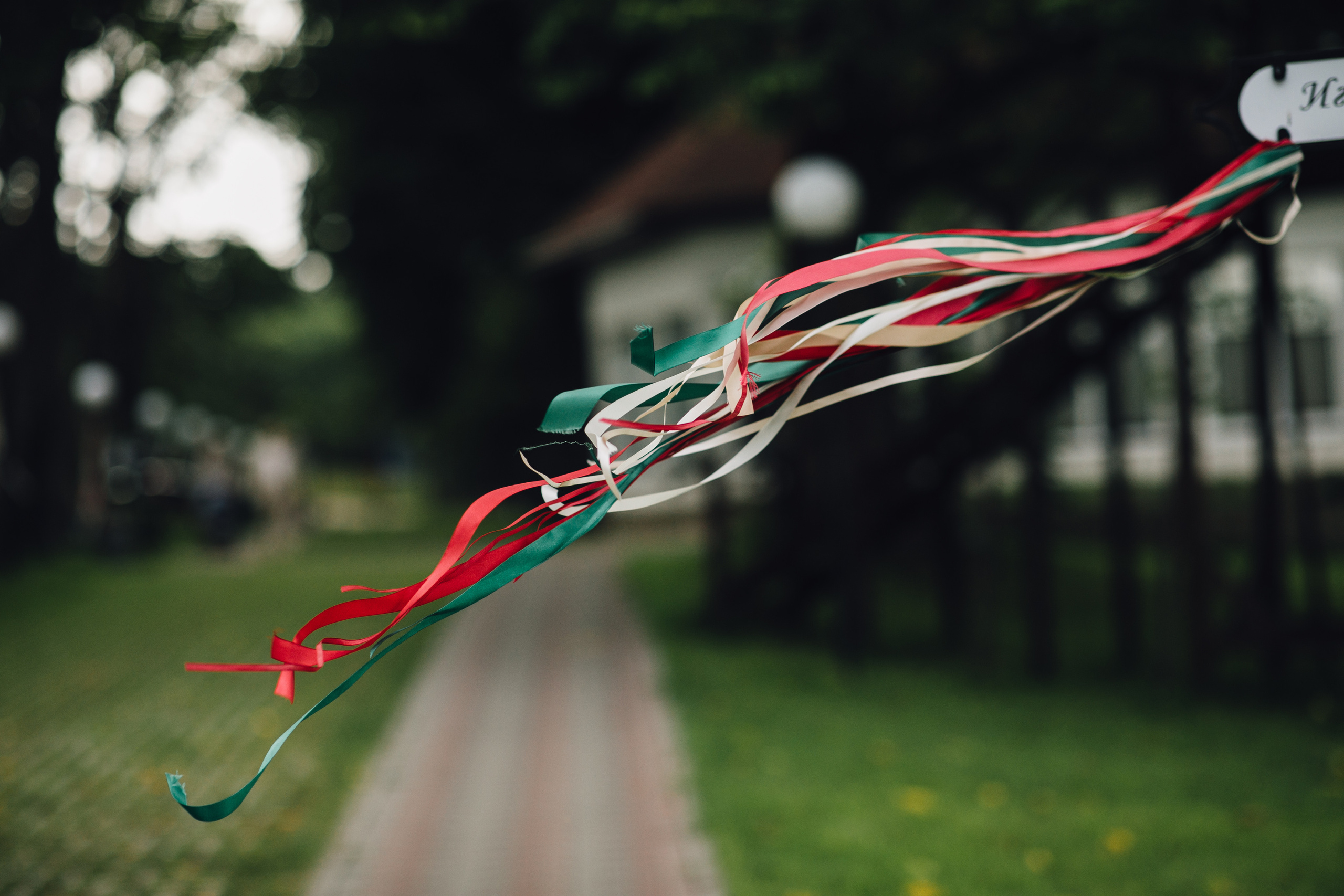 Вишневый Сад. Самый свадебный фотограф