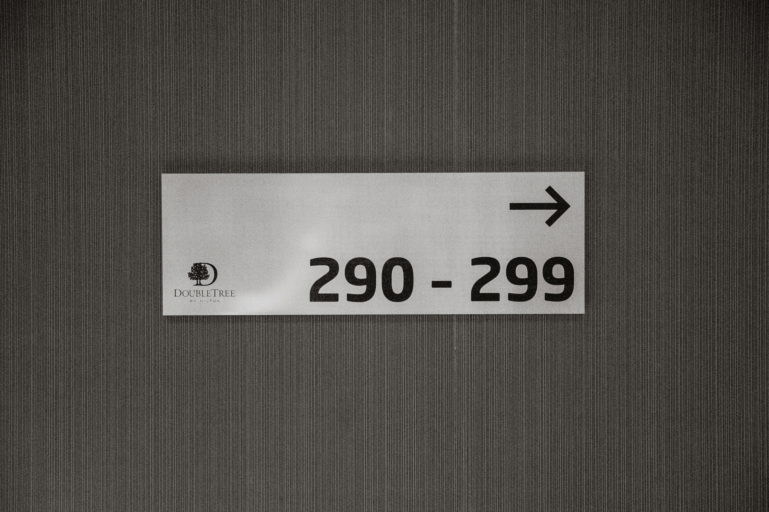 DoubleTree by Hilton and Hot Summer. Самый свадебный фотограф