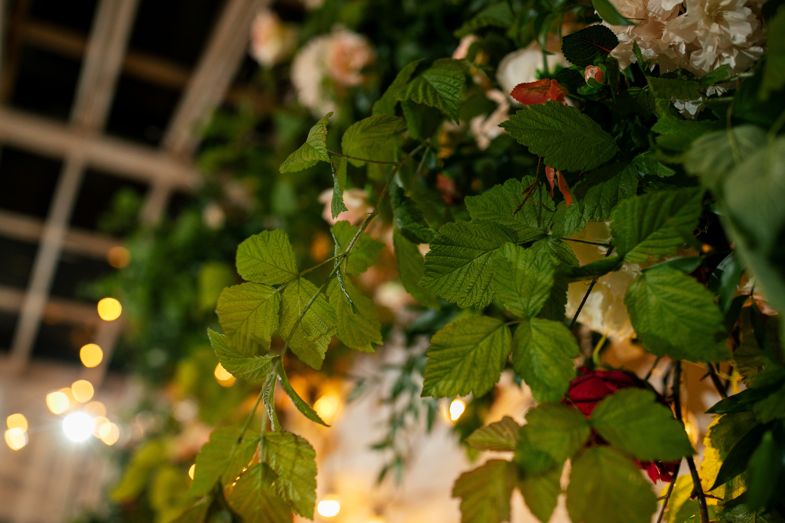 Вишневый Сад. Самый свадебный фотограф