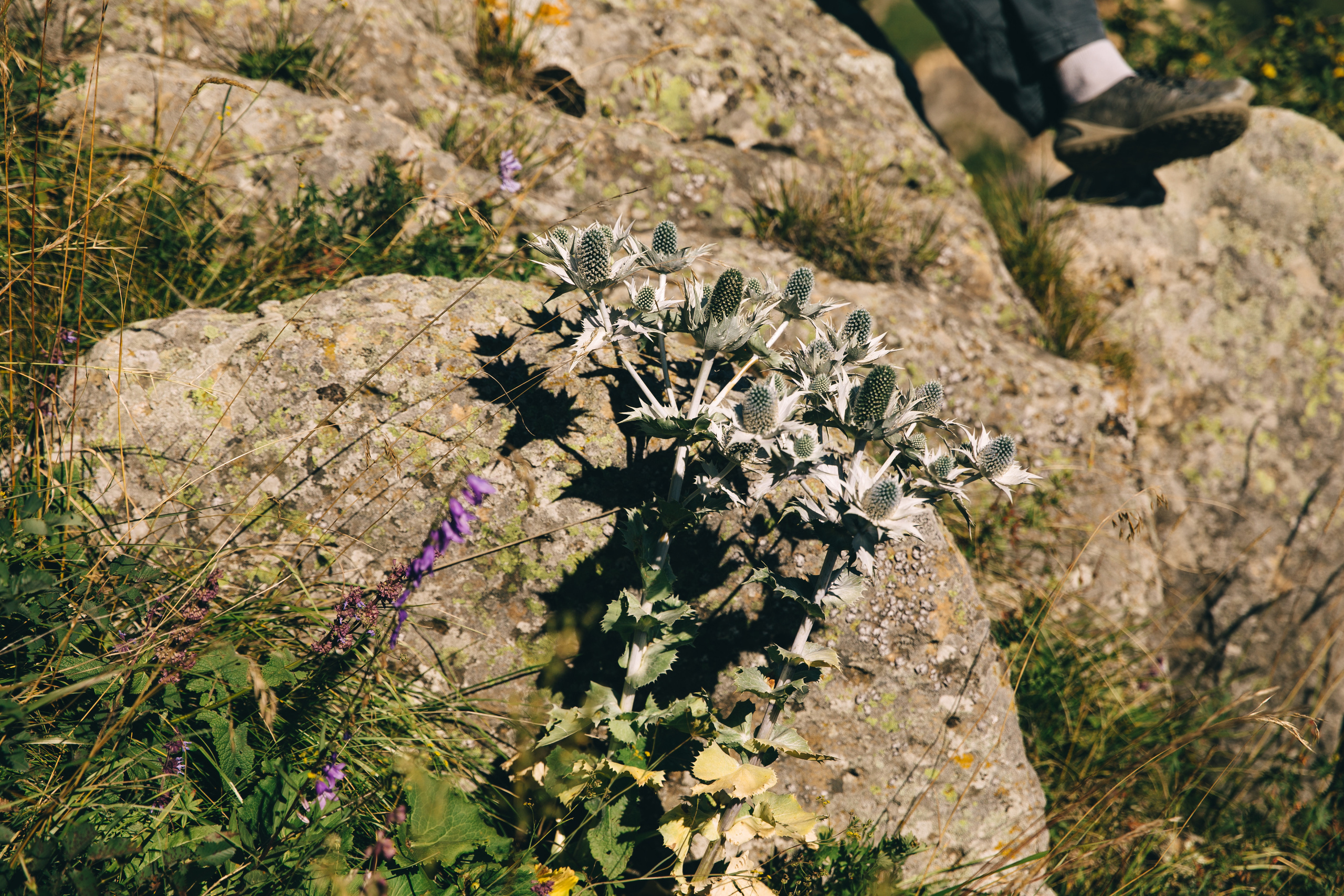 Бермамыт. Самый свадебный фотограф