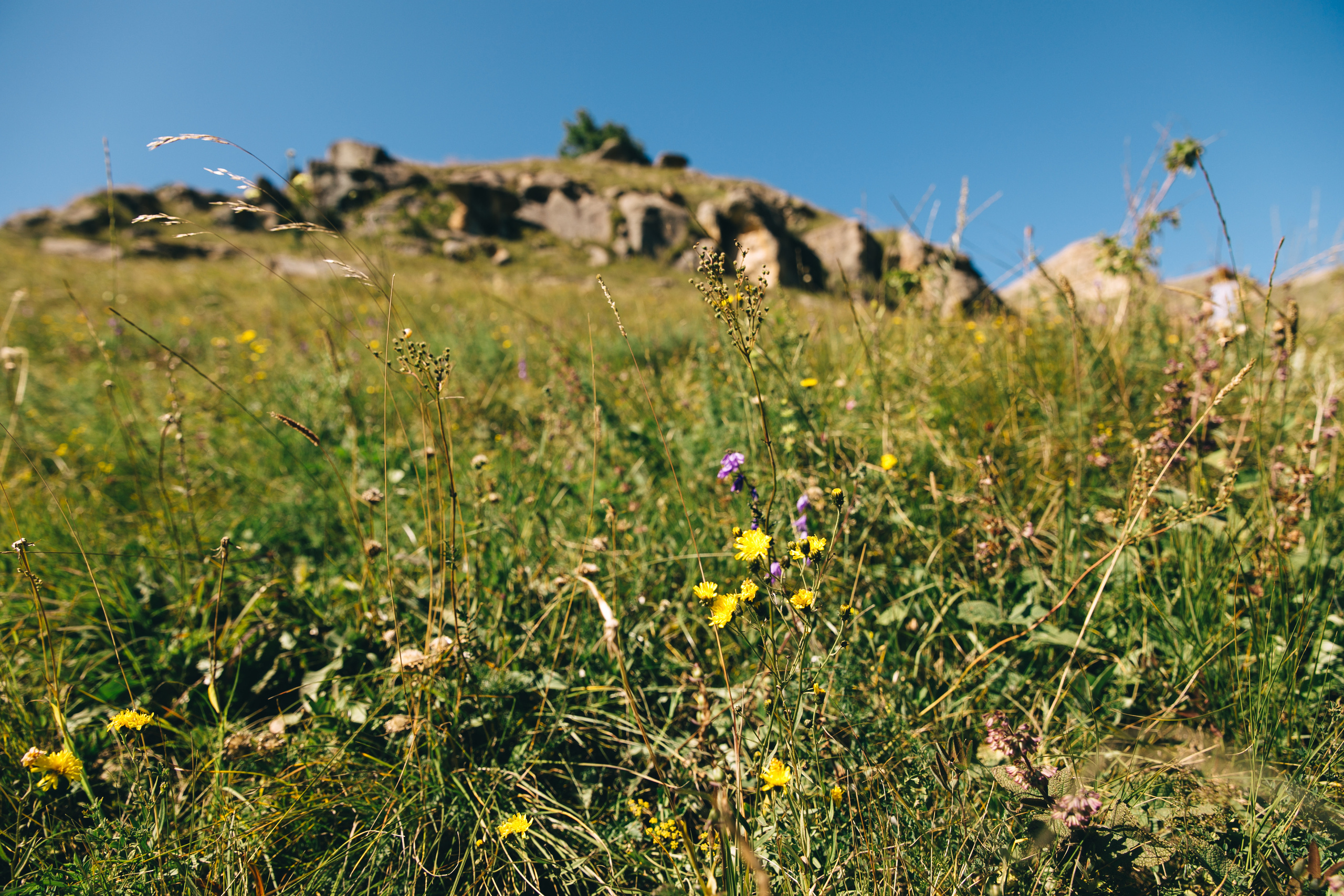 Бермамыт. Самый свадебный фотограф