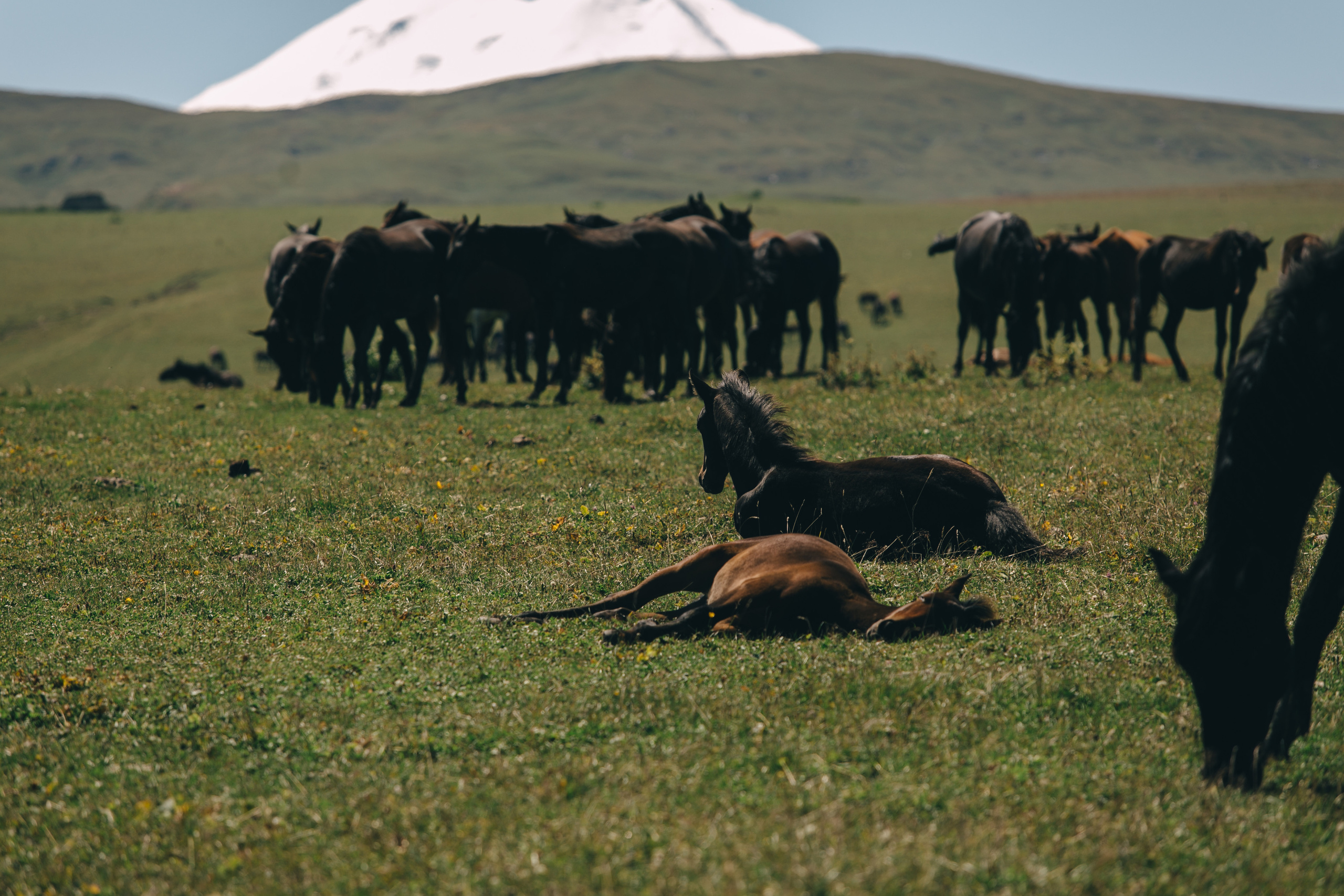 Бермамыт. Самый свадебный фотограф