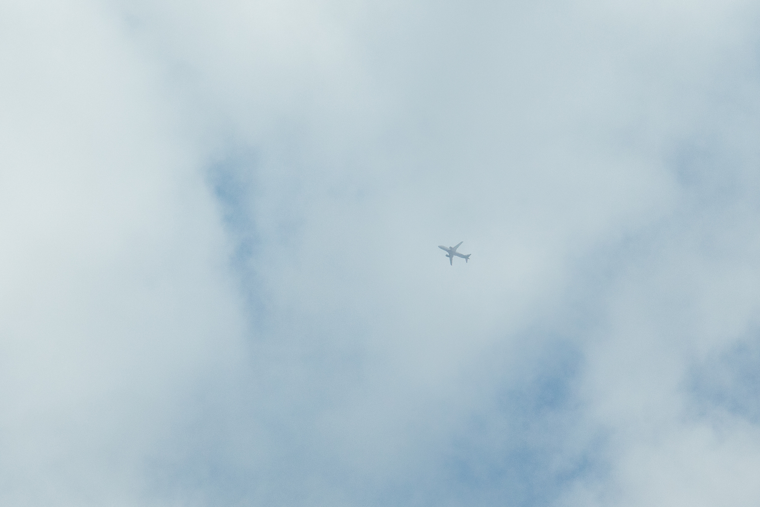 Вишневый Сад. Самый свадебный фотограф