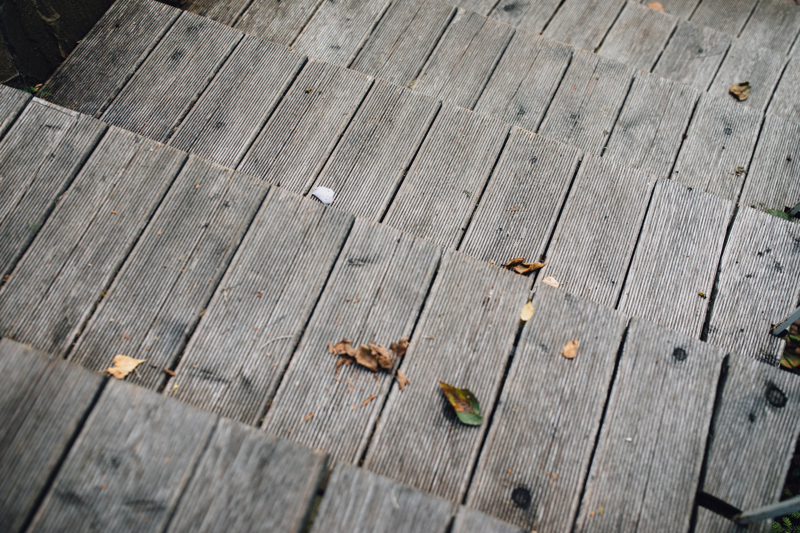 Вишневый Сад. Самый свадебный фотограф