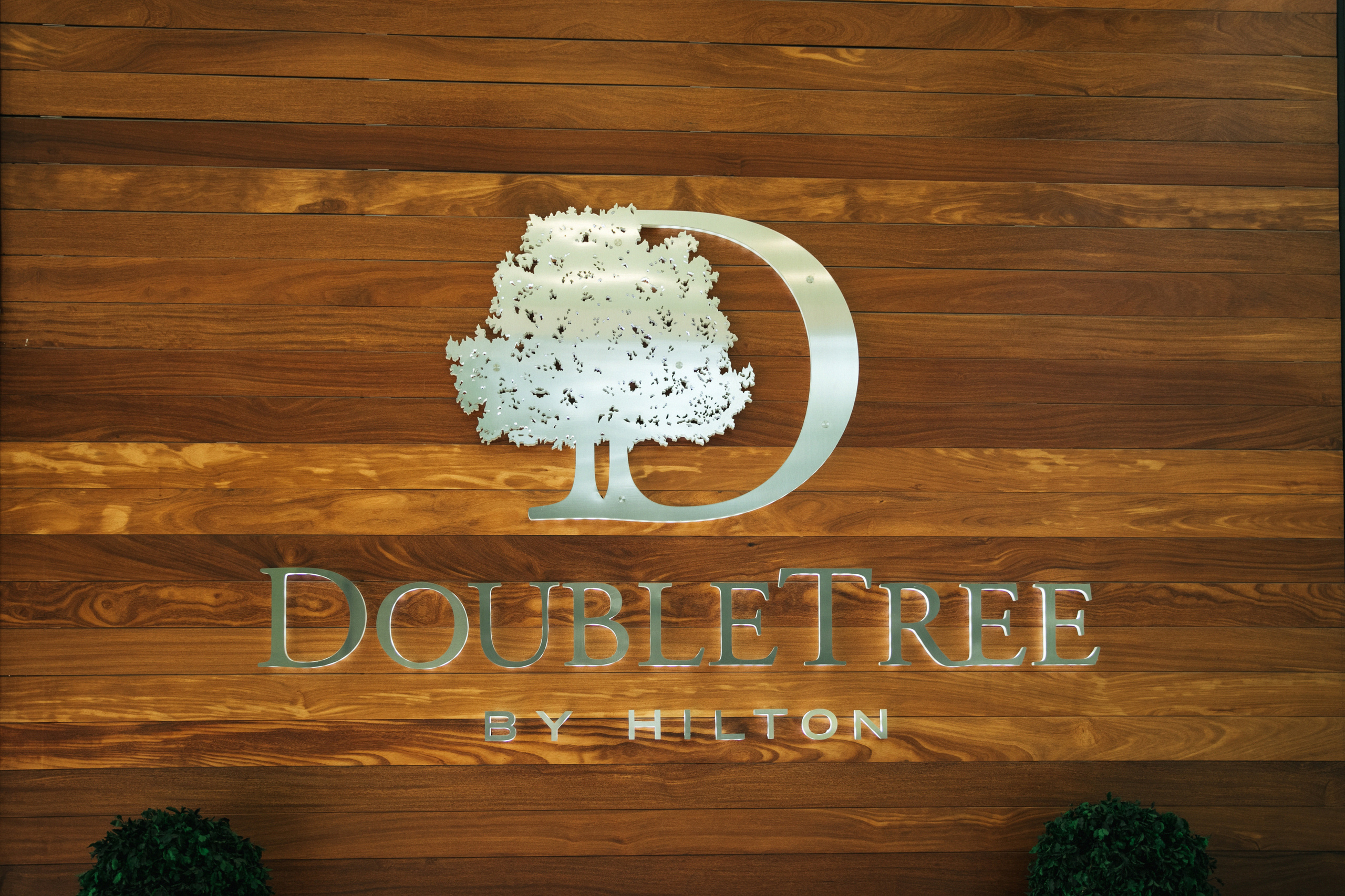 DoubleTree by Hilton and Hot Summer. Самый свадебный фотограф