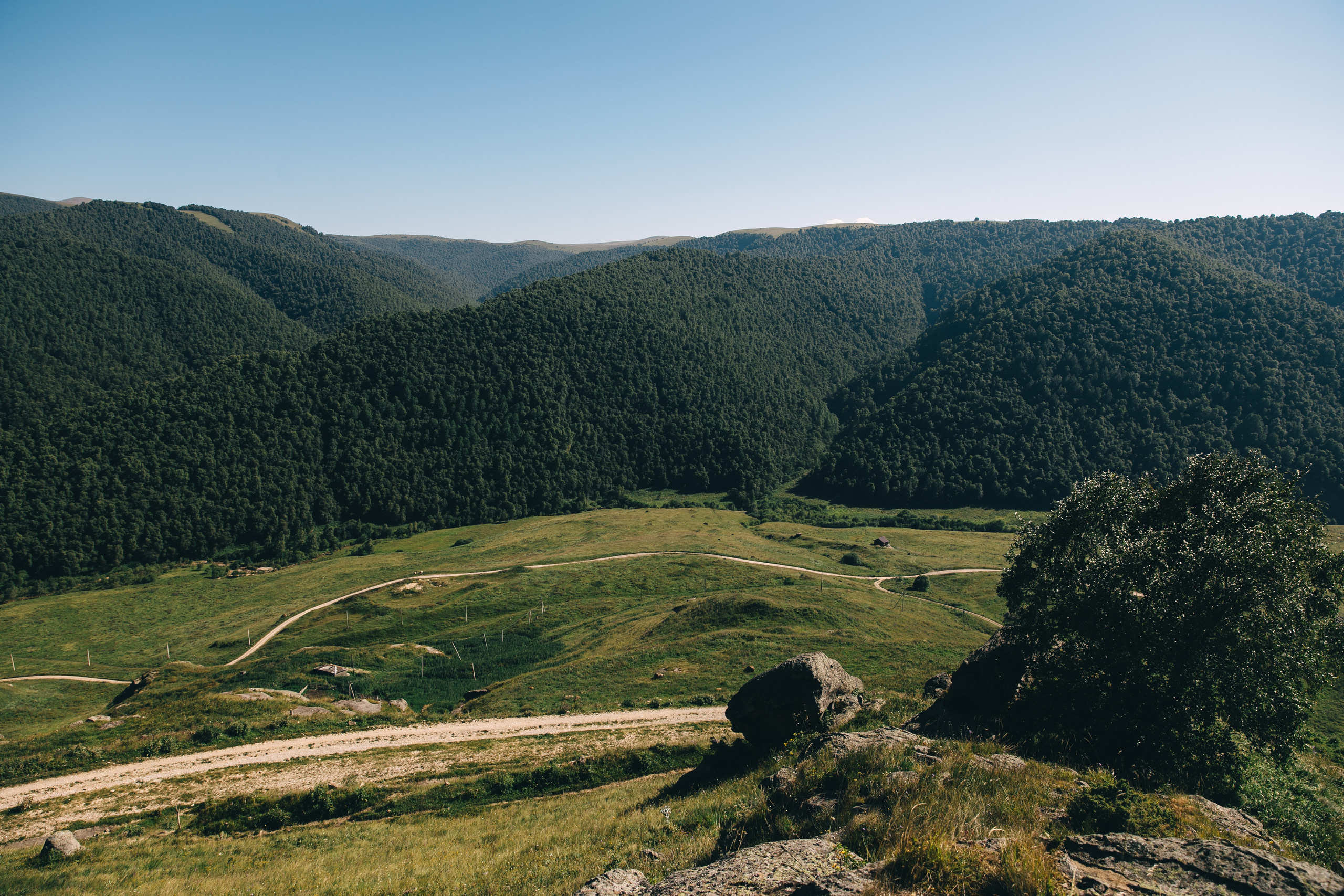 Бермамыт. Самый свадебный фотограф