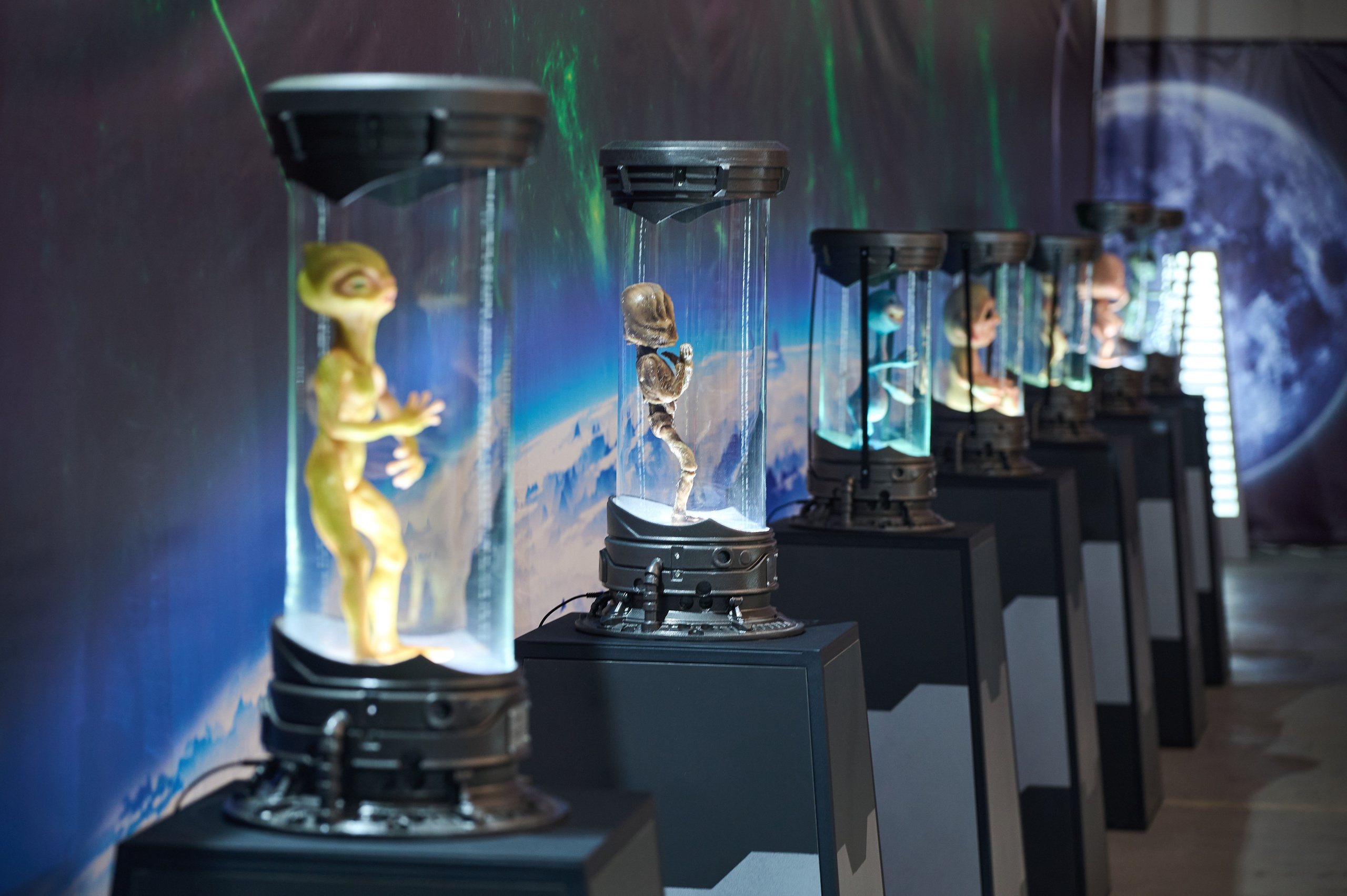 Вторжение инопланетян и криошоу. Фотограф Опыт Качество Скорость Горный Алтай Барнаул