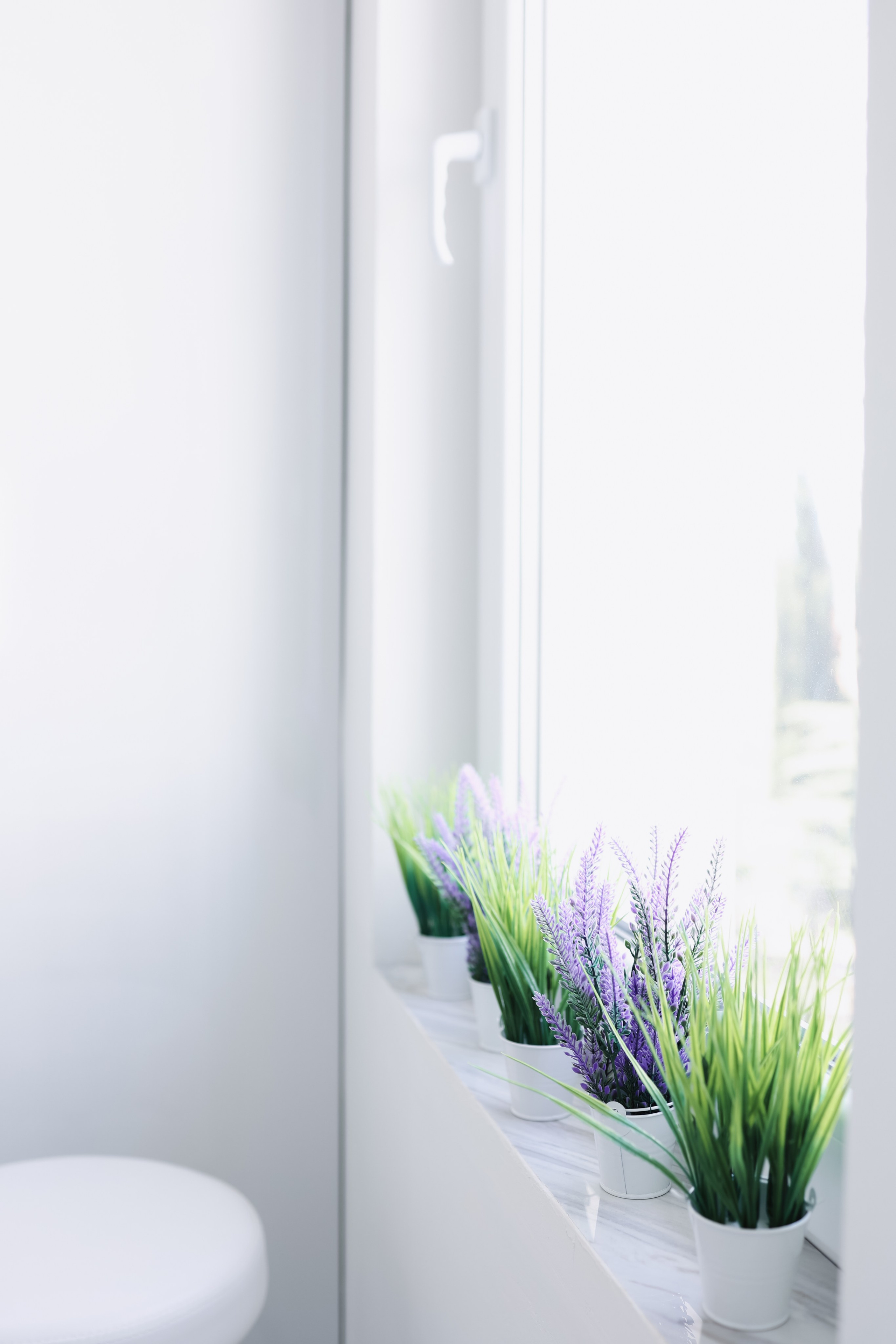 Стоматология. Withlovent | Фотограф в Севастополе