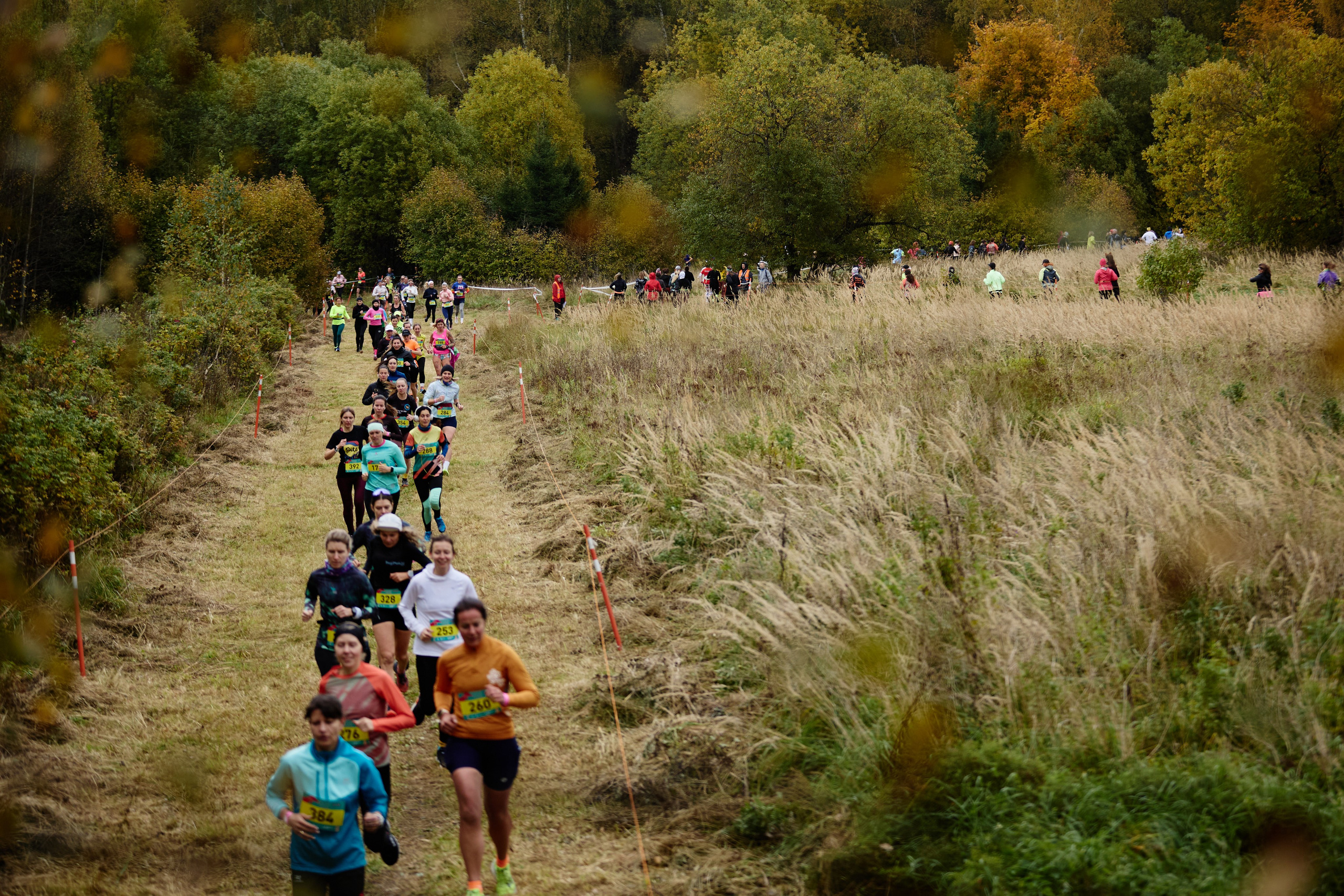 Sport. Спортивный и бизнес фотограф Арсений Голышкин