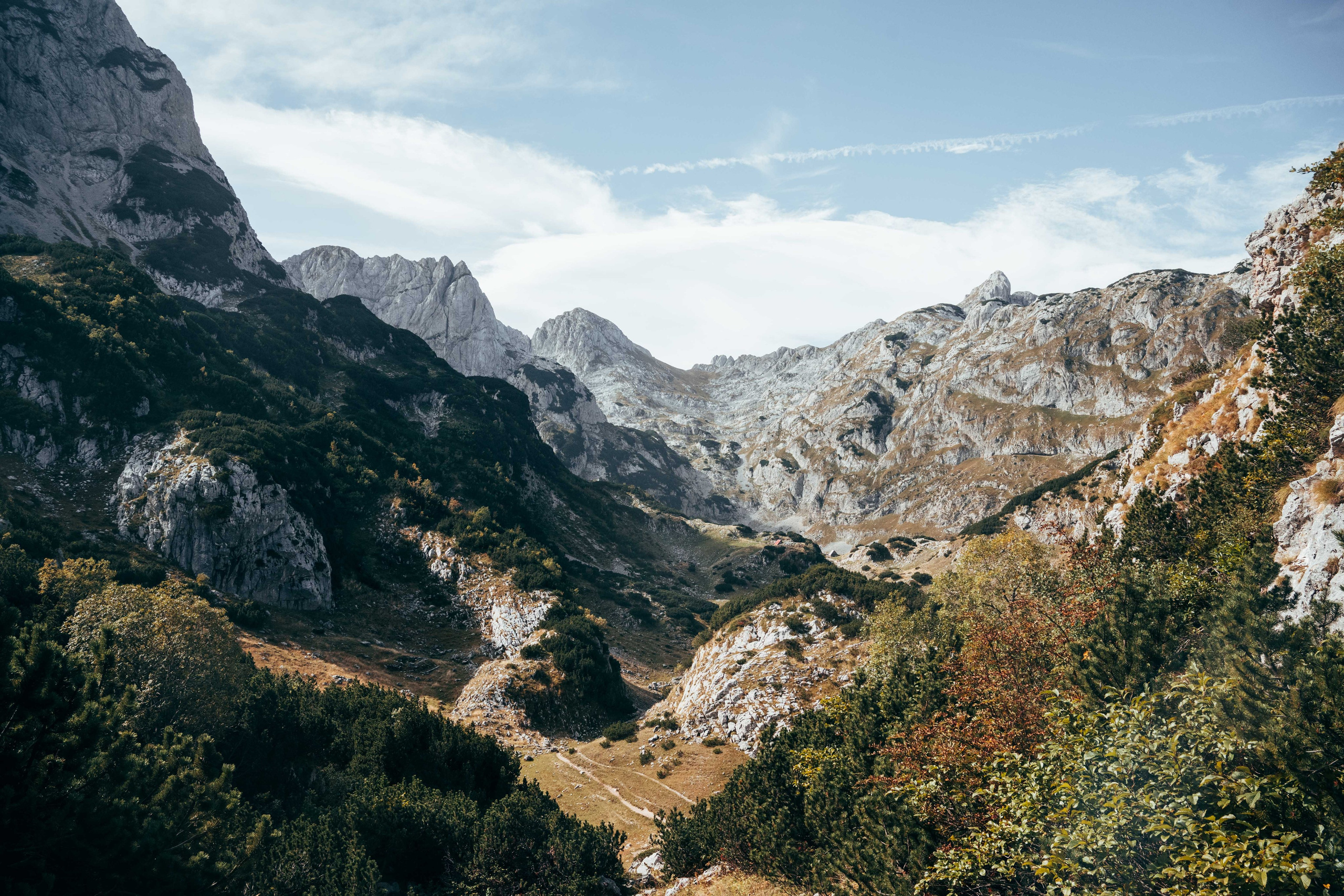 ДОЛИНА ЛОКВИЦЕ. ЧЕРНОГОРИЯ. Фотограф в Белграде Чугреева Елена