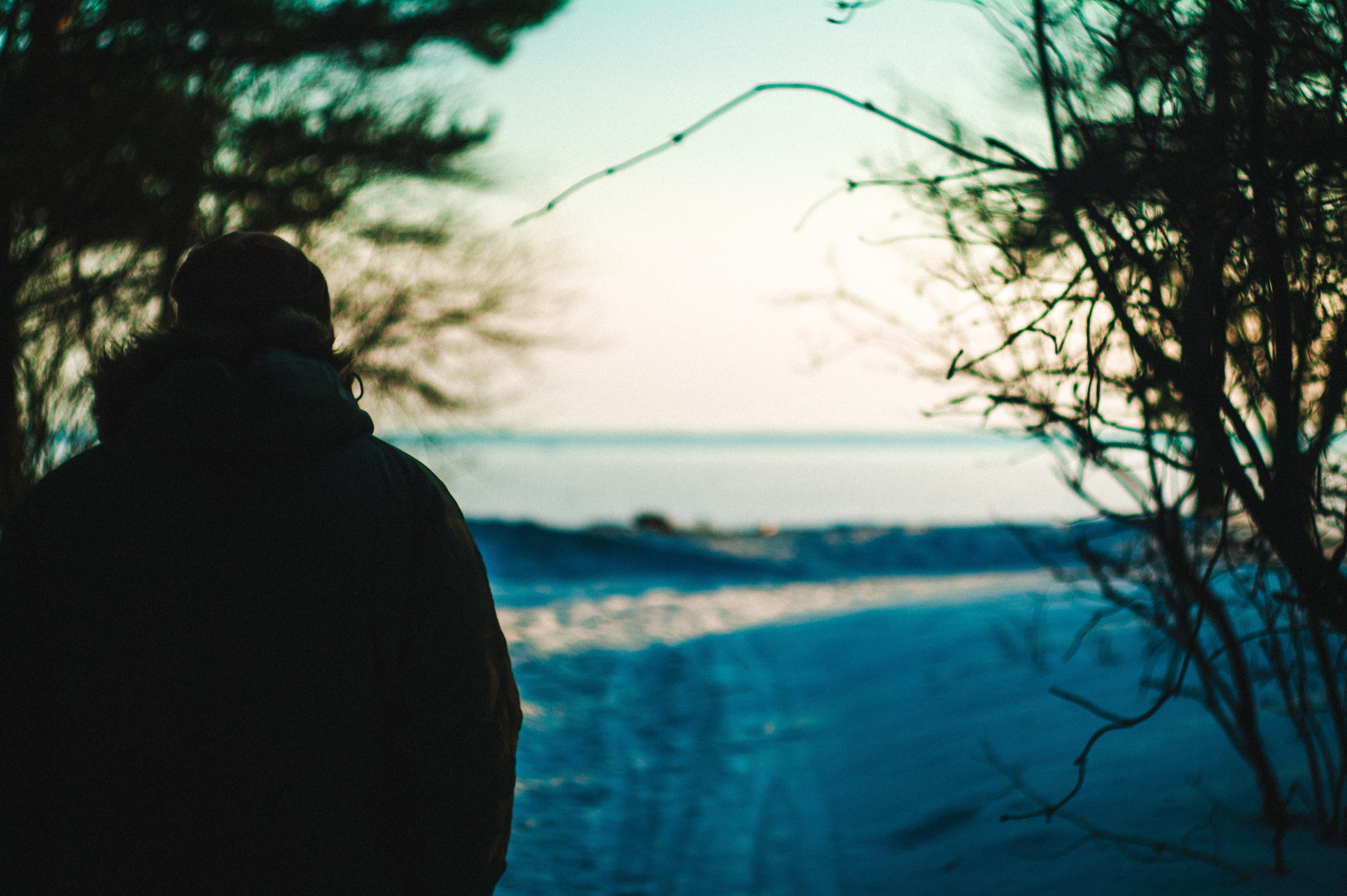 Narcissist. Den Mirov — Photographer, Musician