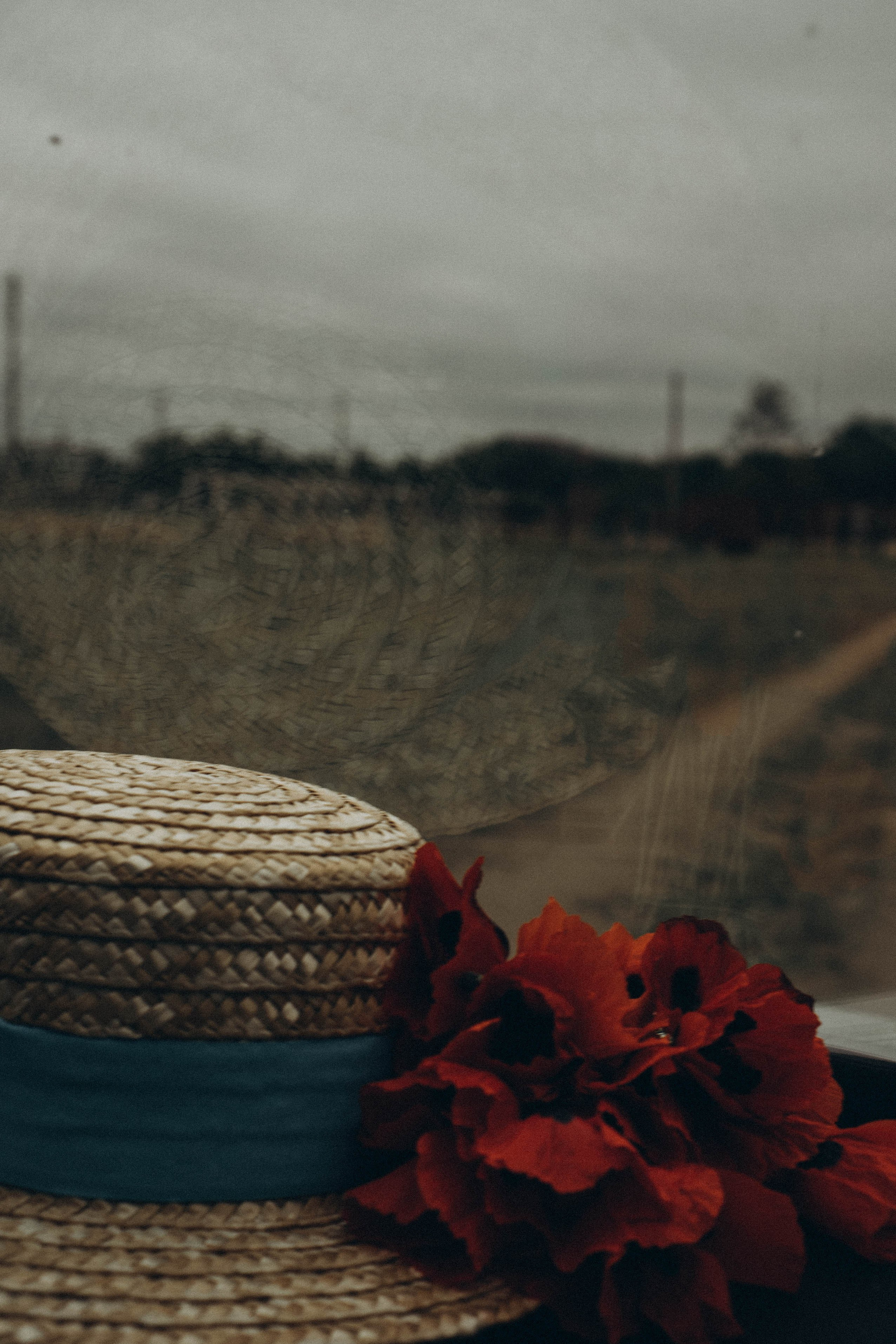 Кавказ. Профессиональный фотограф, Санкт-Петербург — Виктория Богомолова