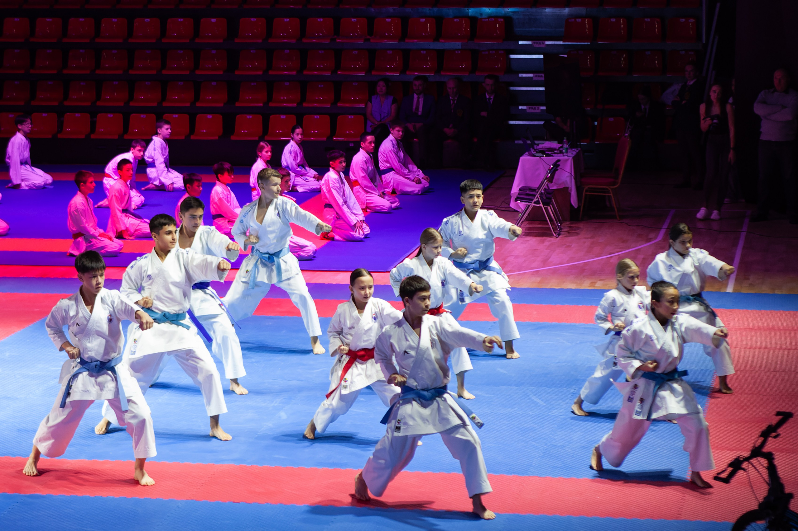 Дальневосточный фестиваль восточных единоборств. Кутузов Евгений Фотограф в Южно-Сахалинске