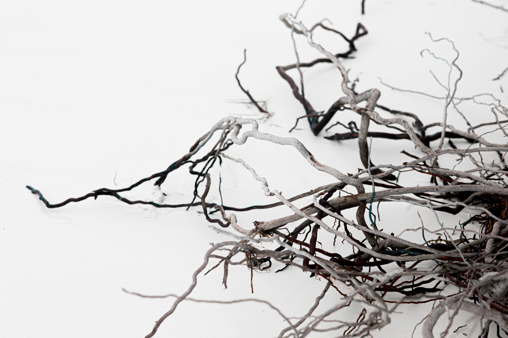 Nature /Природа. Photografer