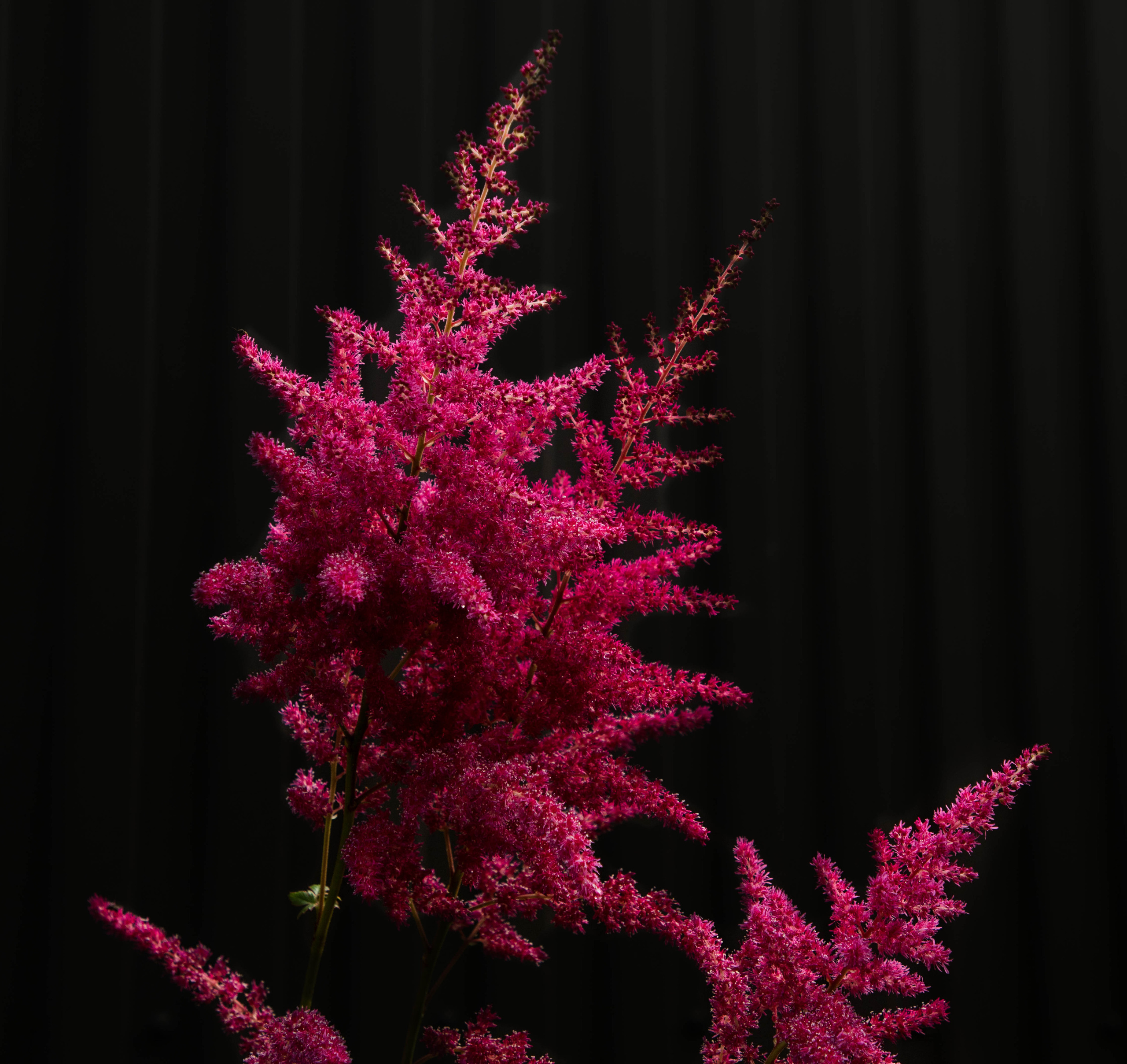 Nature /Природа. Photografer