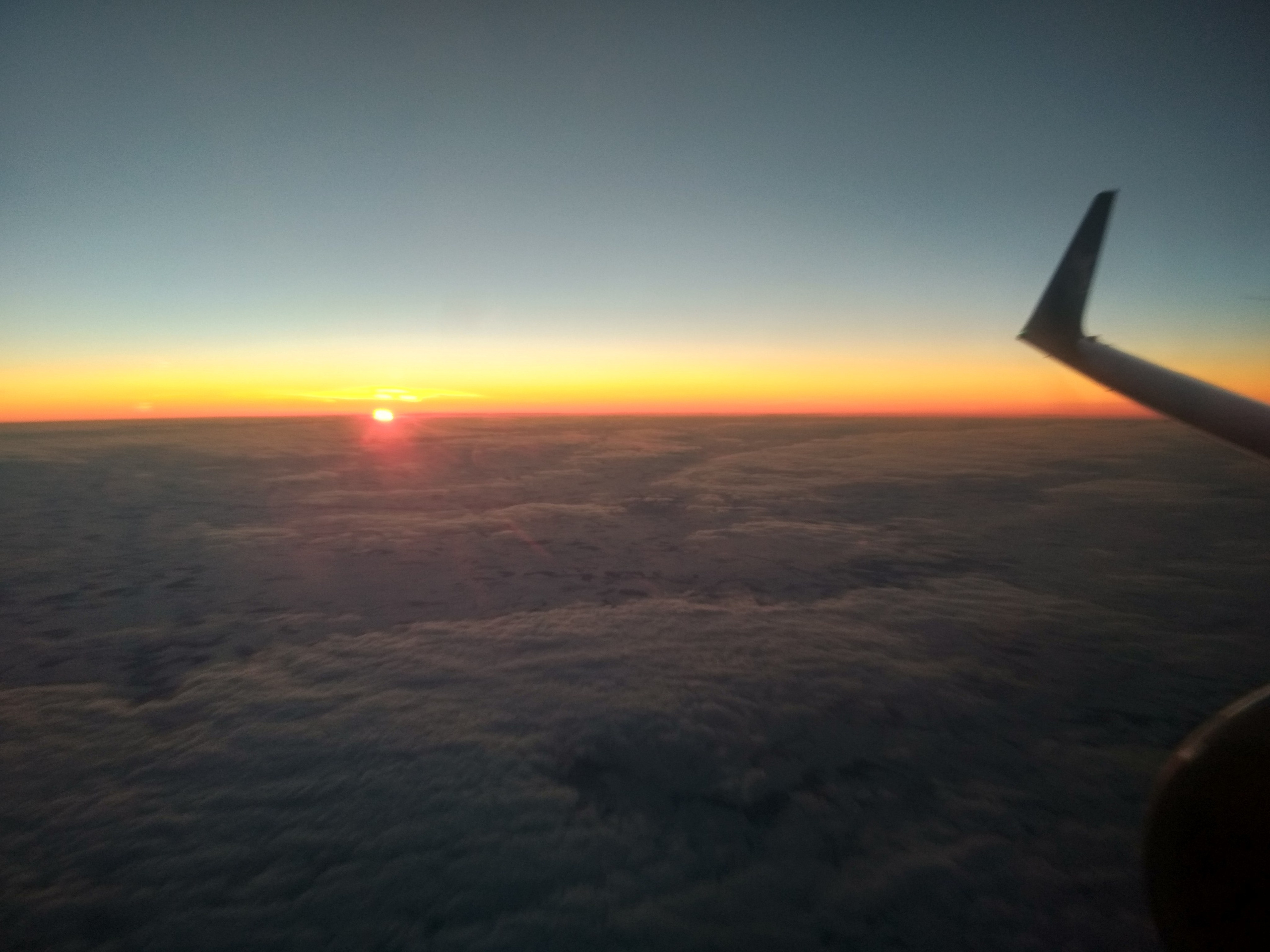 Мамочка дорогая, Царствие Небесное!. Собор Отрасли