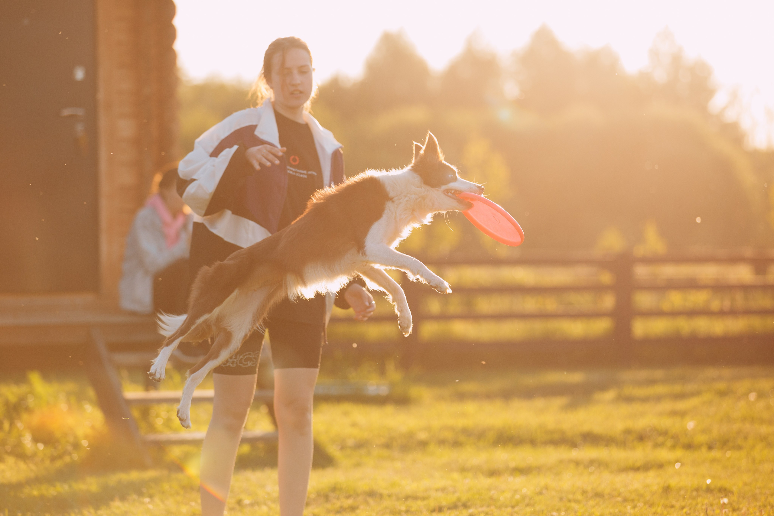 Кинологический лагерь в Горыныче. Фотограф анималист Кристина Карпова, Москва
