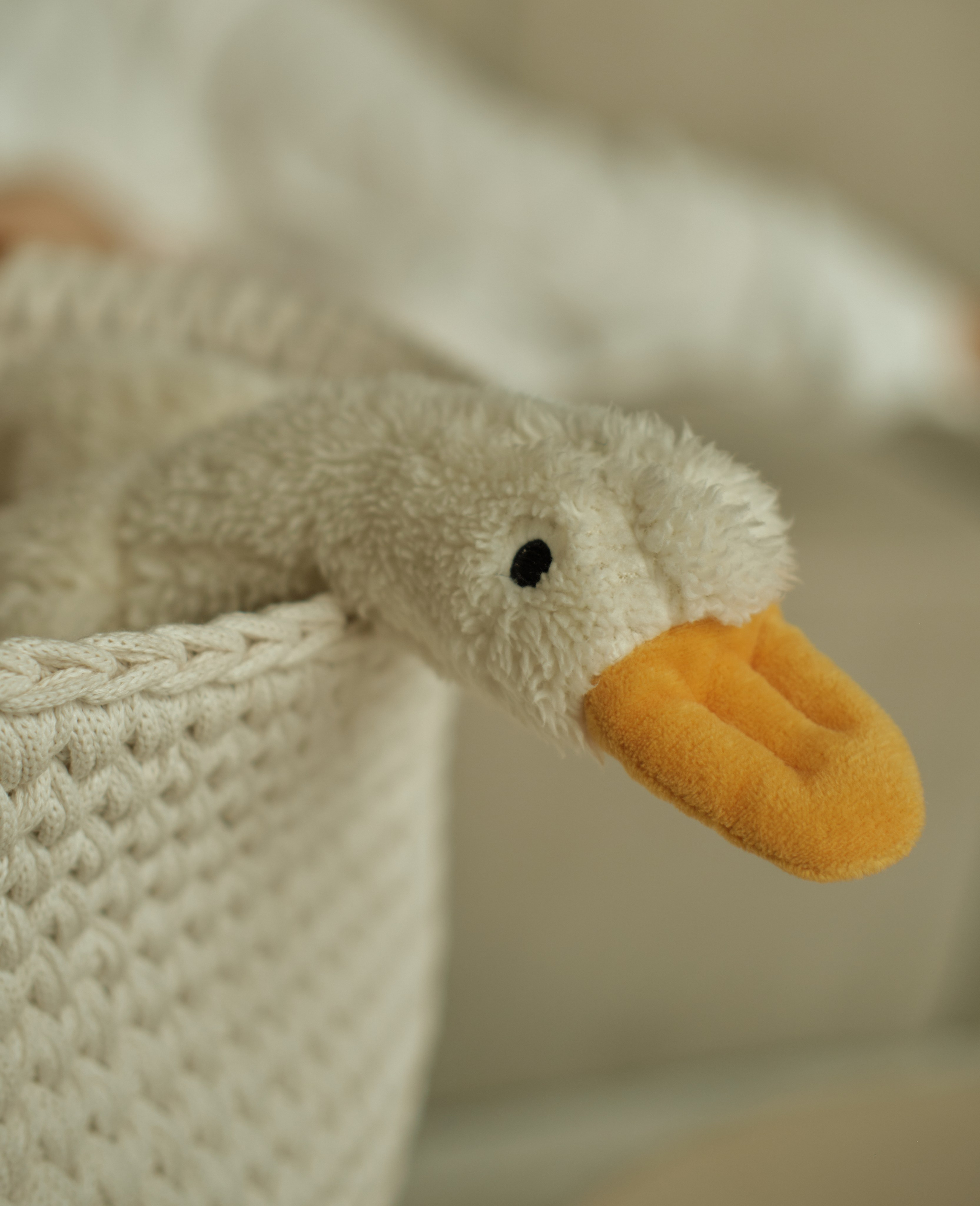 Дом, где растет любовь. Фотограф Карелина Полина