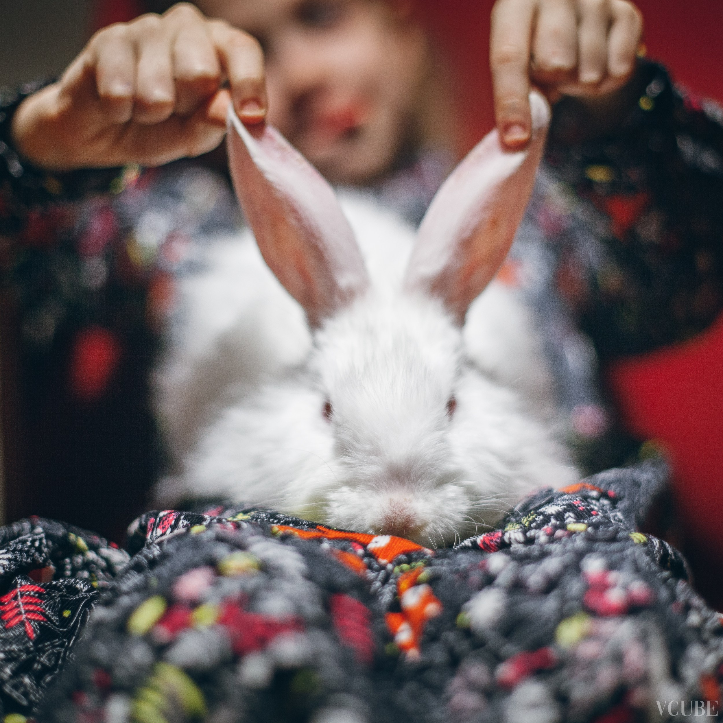Съемка дочки в студии. Фотограф Денис Денисов