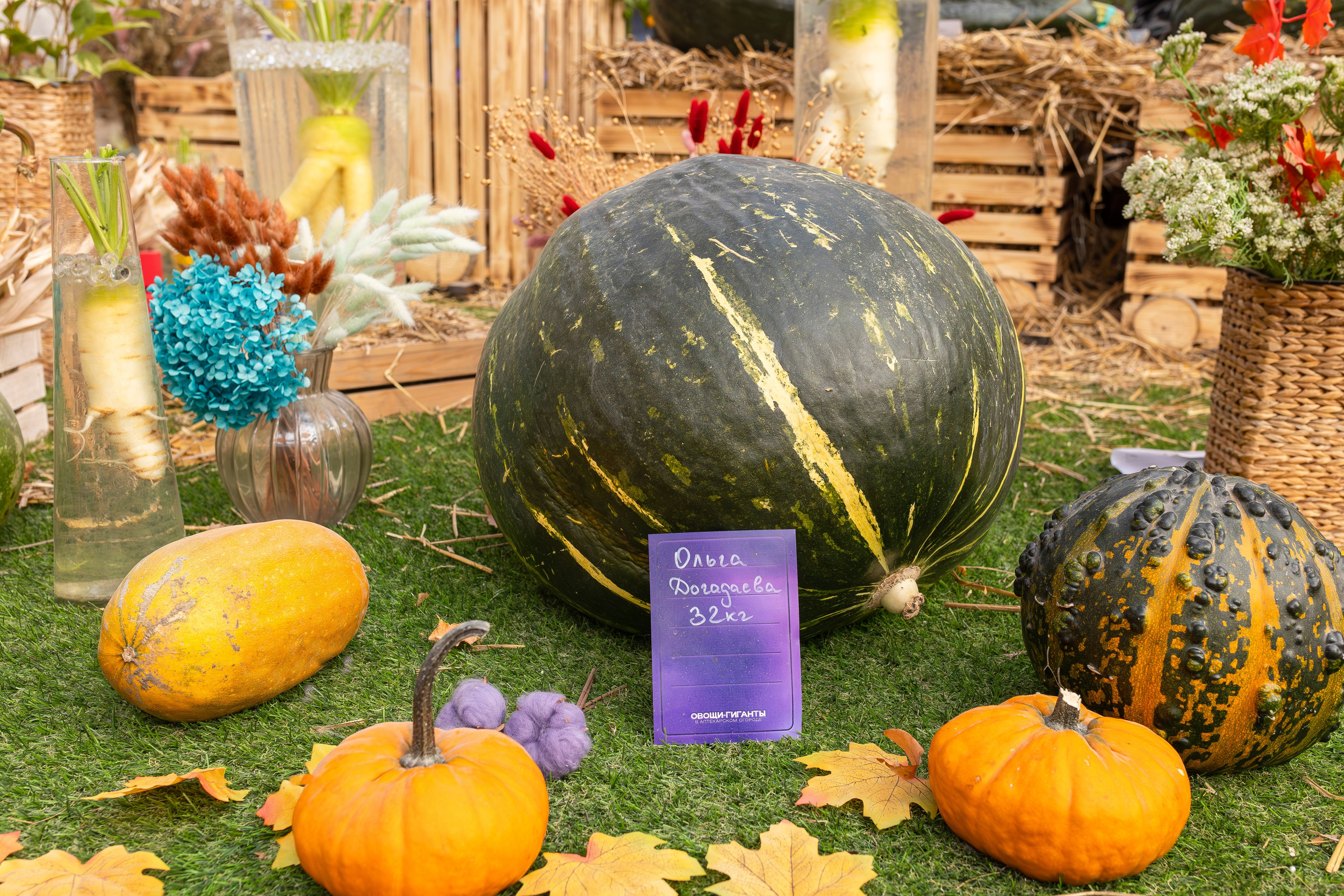 Овощи-гиганты. Александра Куликова фотограф, Москва