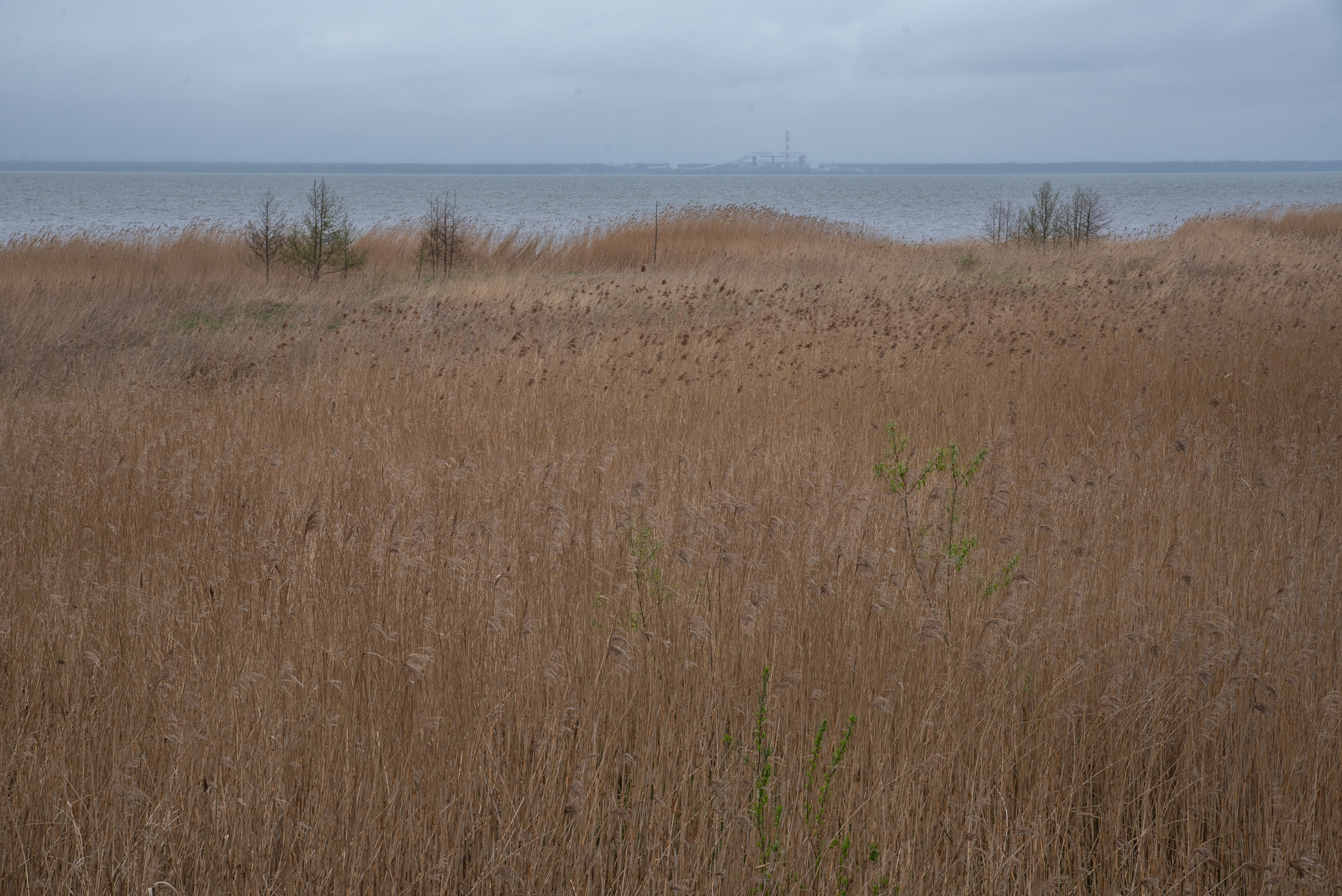 Калининград, Светлогорск. Фотограф Юлия Зимина