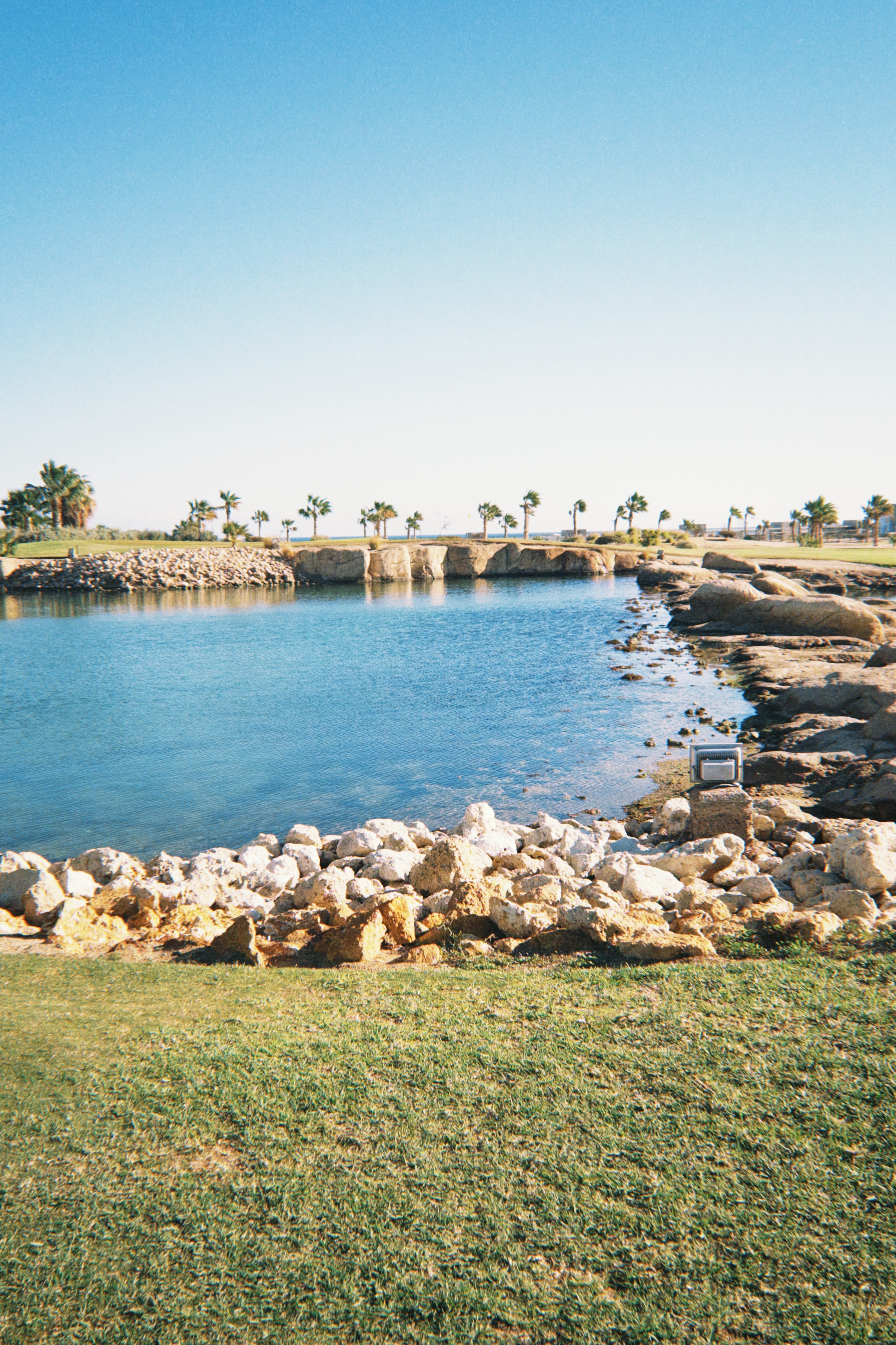 Данил колбасенко. Портфолио