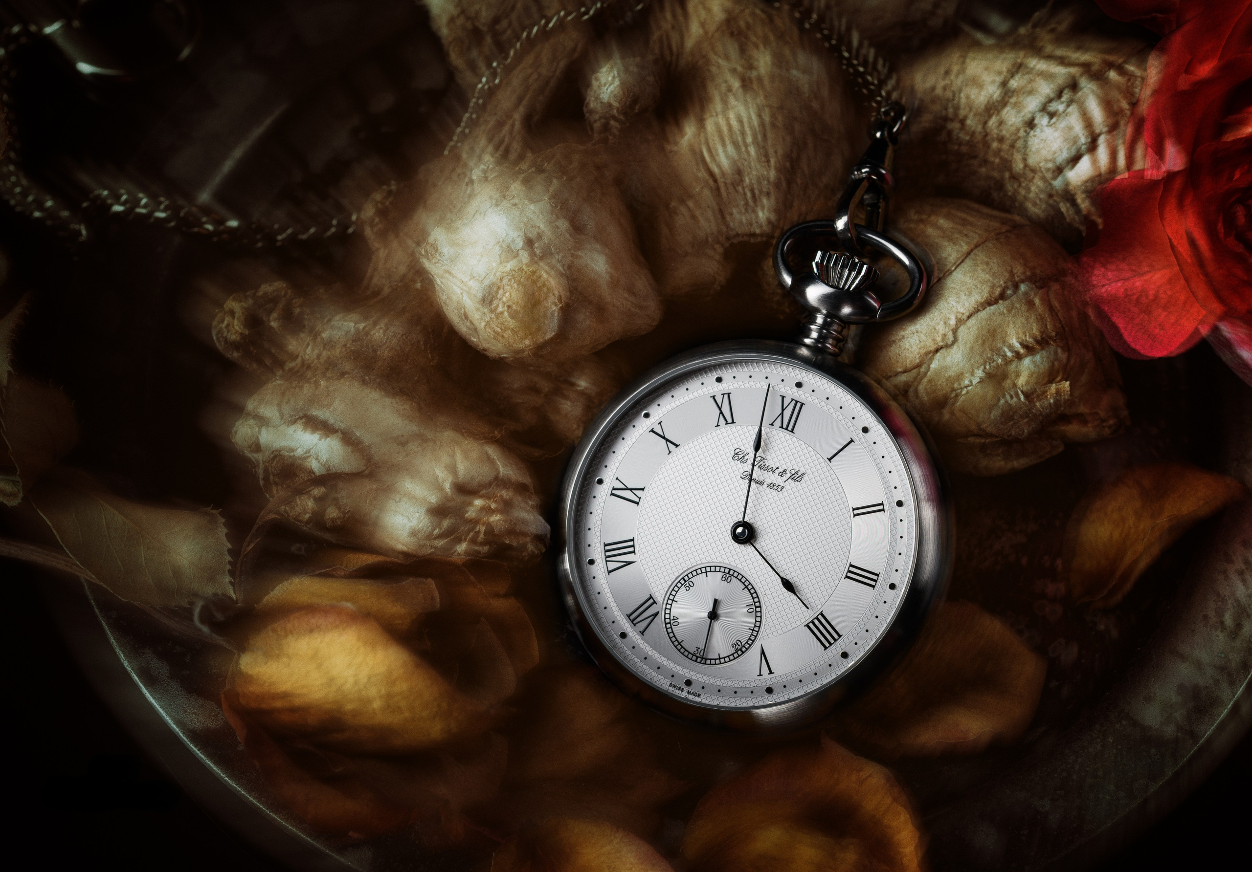 КАТАЛОГ. Профессиональный фотограф в Минске Николай Герасимов